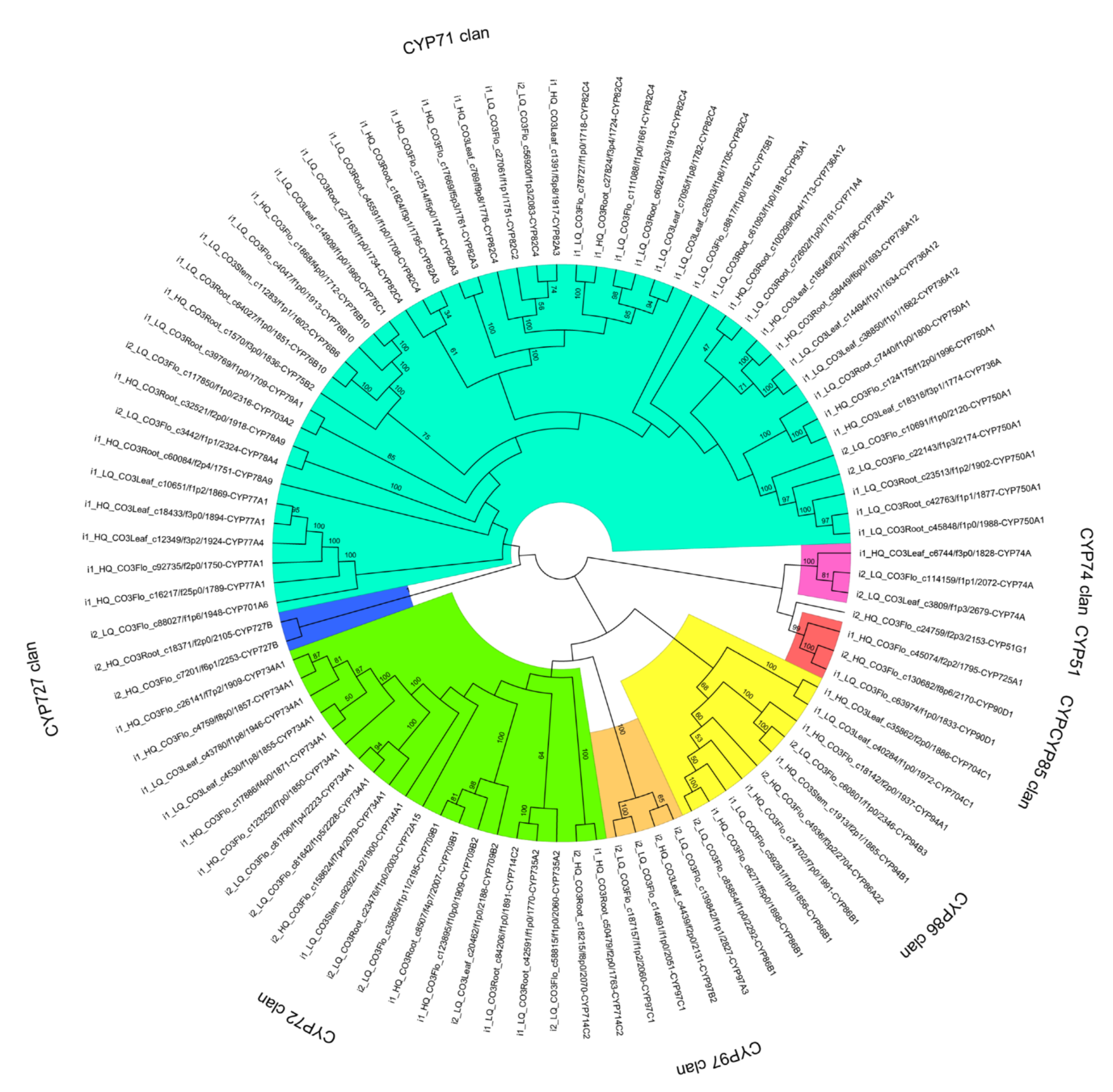Ijms 22 00787 g008 Ijms 22 00787 g008