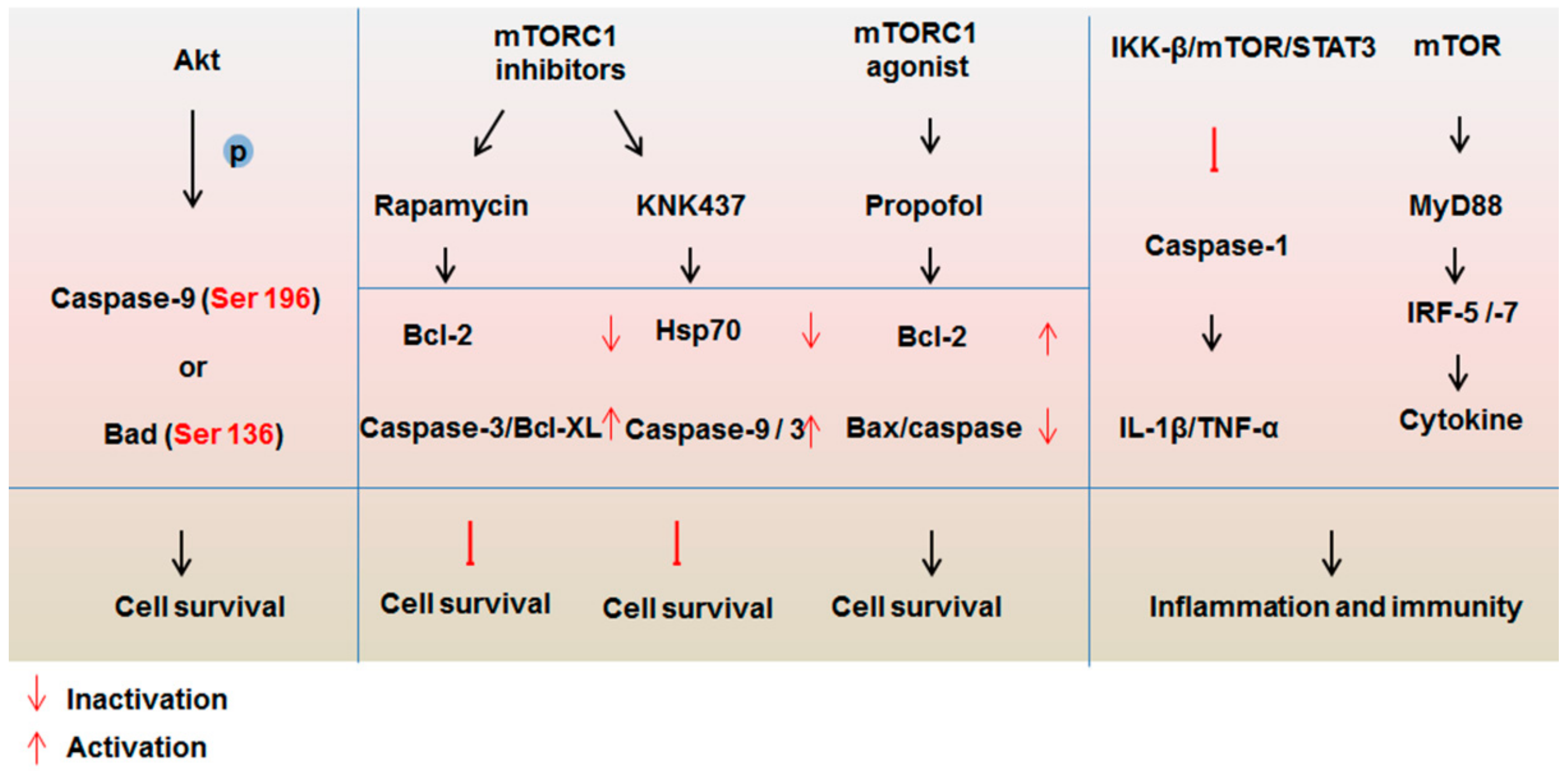 Ijms 22 00817 g003 Ijms 22 00817 g003