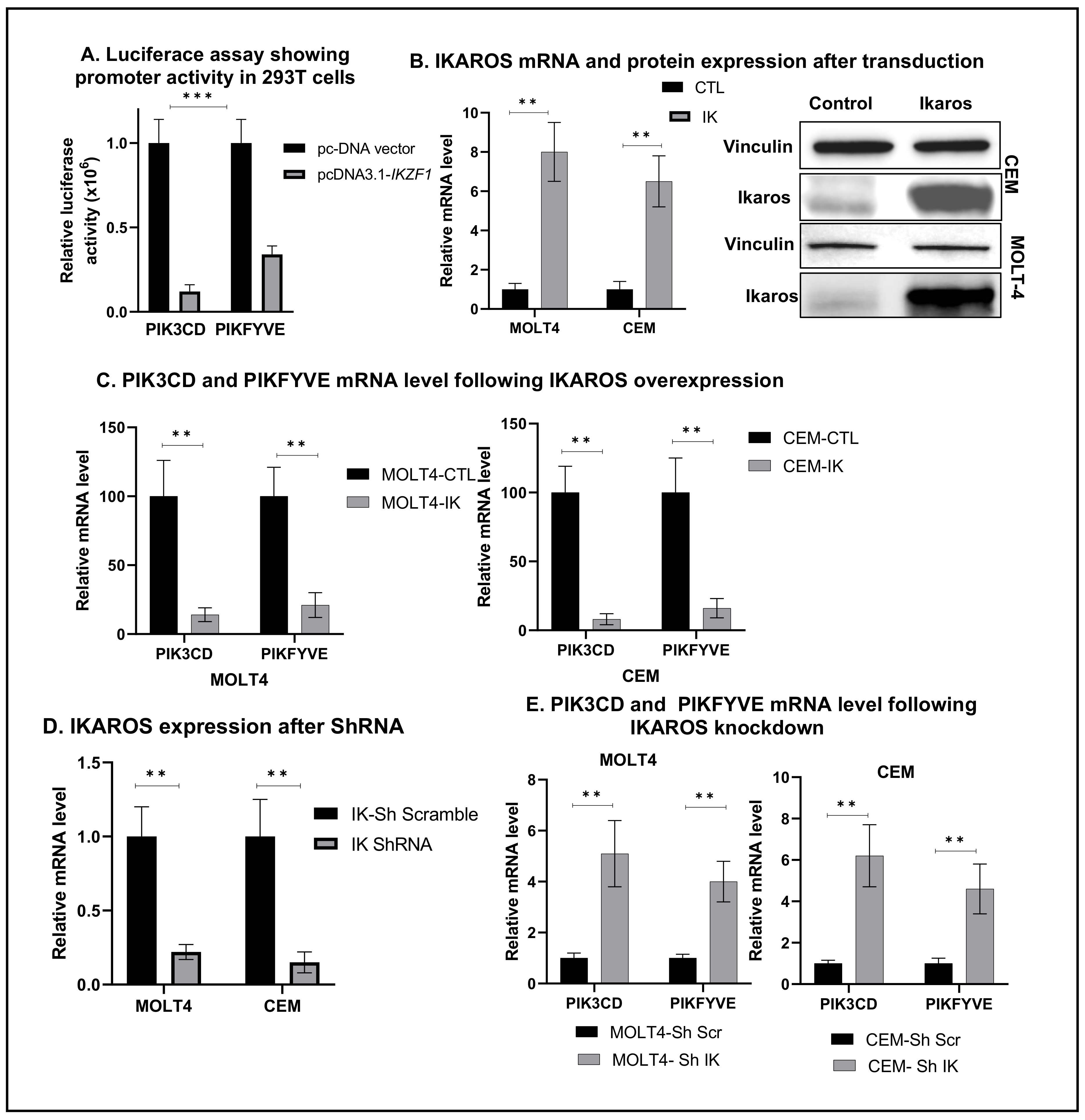 Ijms 22 00819 g003 Ijms 22 00819 g003