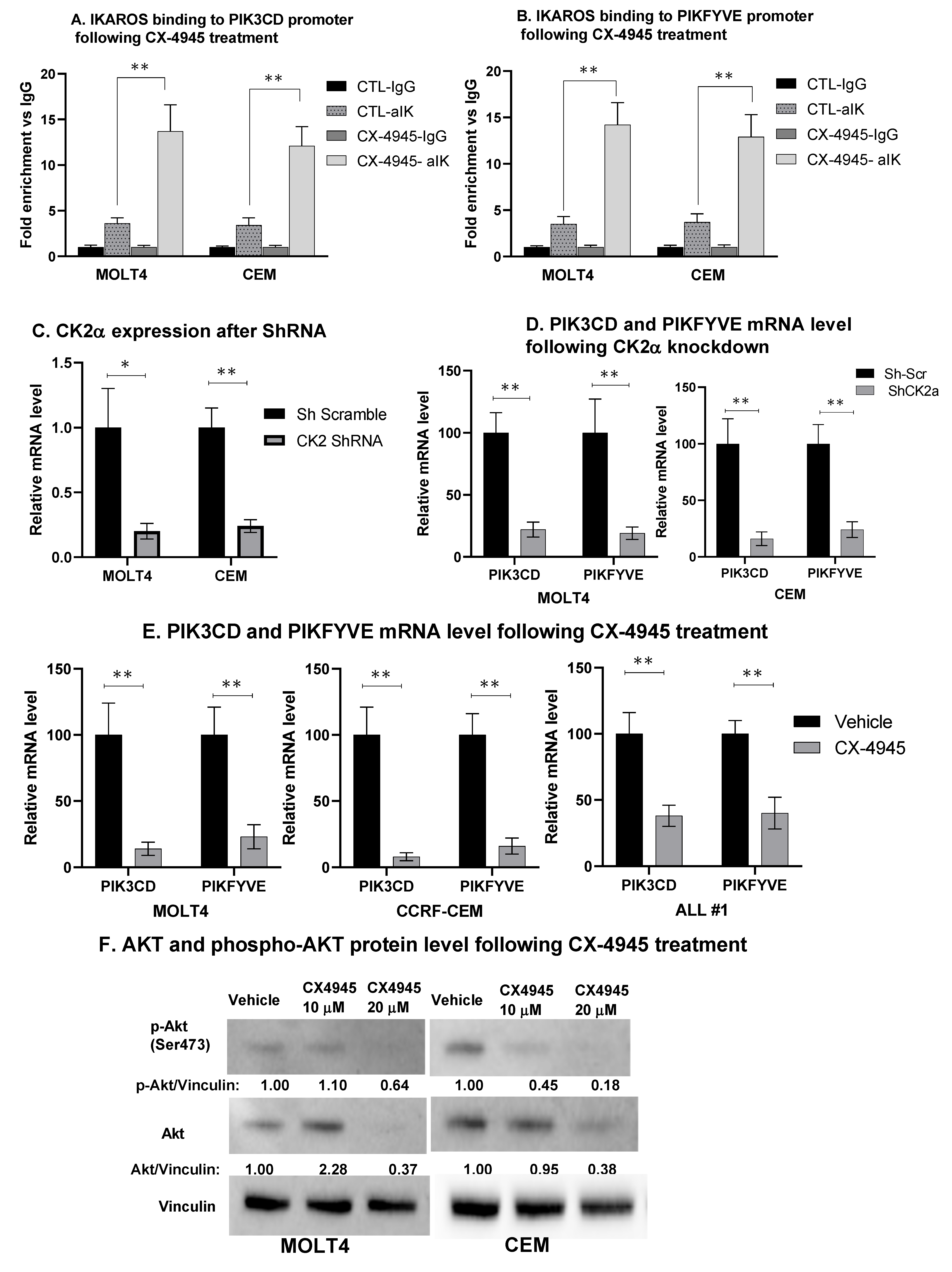 Ijms 22 00819 g004 Ijms 22 00819 g004