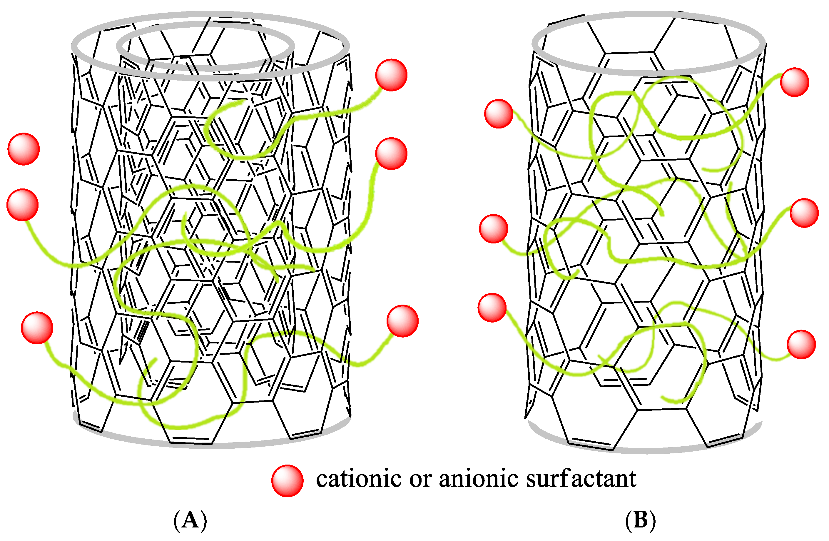 Ijms 22 00826 g002 Ijms 22 00826 g002