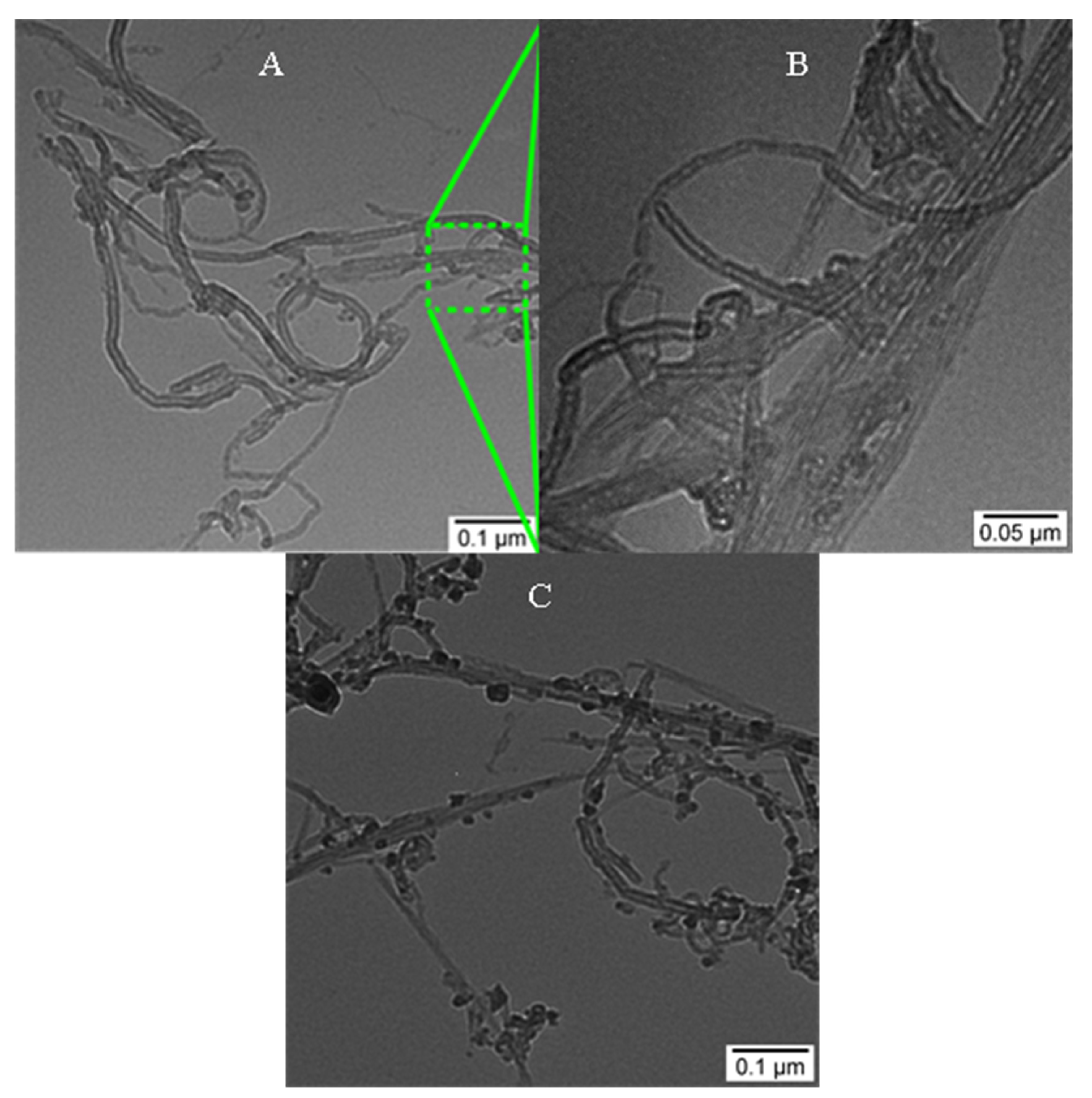 Ijms 22 00826 g007 Ijms 22 00826 g007