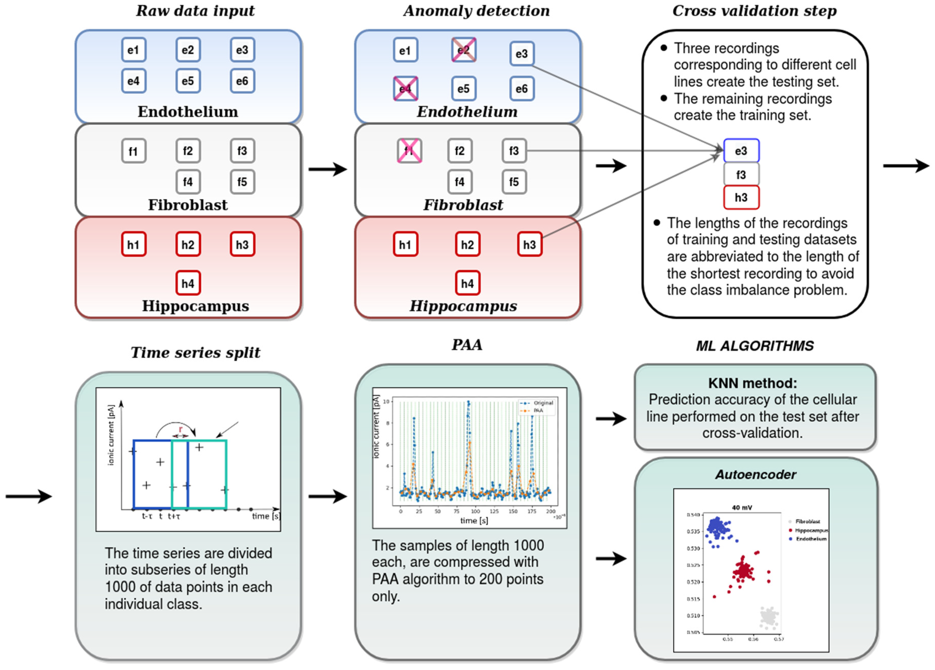 Ijms 22 00840 g004 Ijms 22 00840 g004