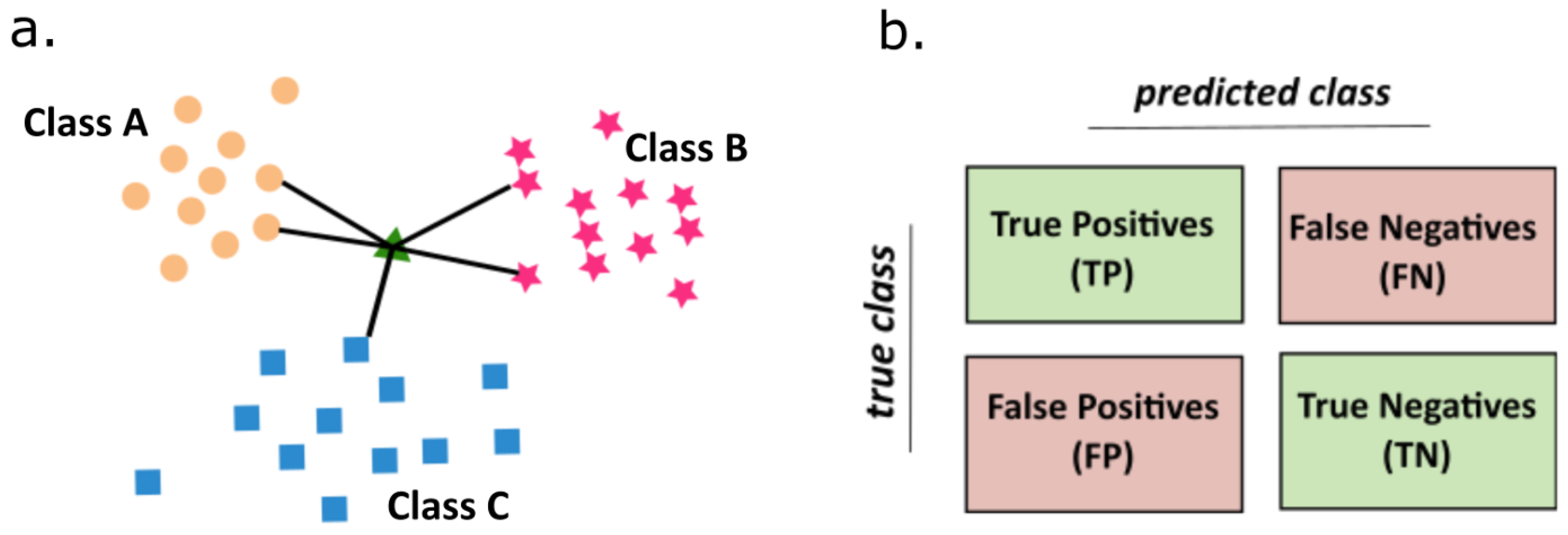 Ijms 22 00840 g008 Ijms 22 00840 g008