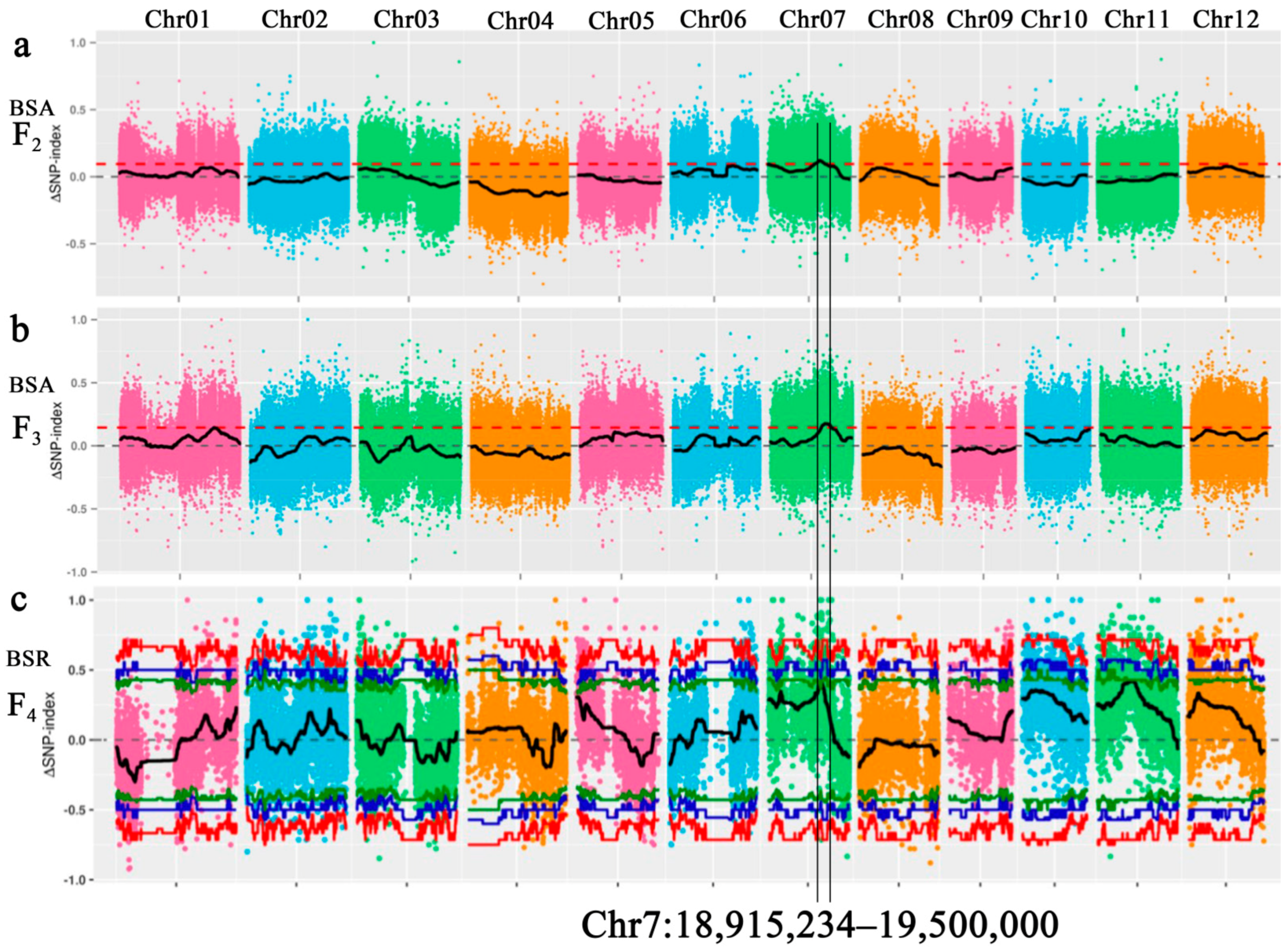Ijms 22 00841 g003 Ijms 22 00841 g003