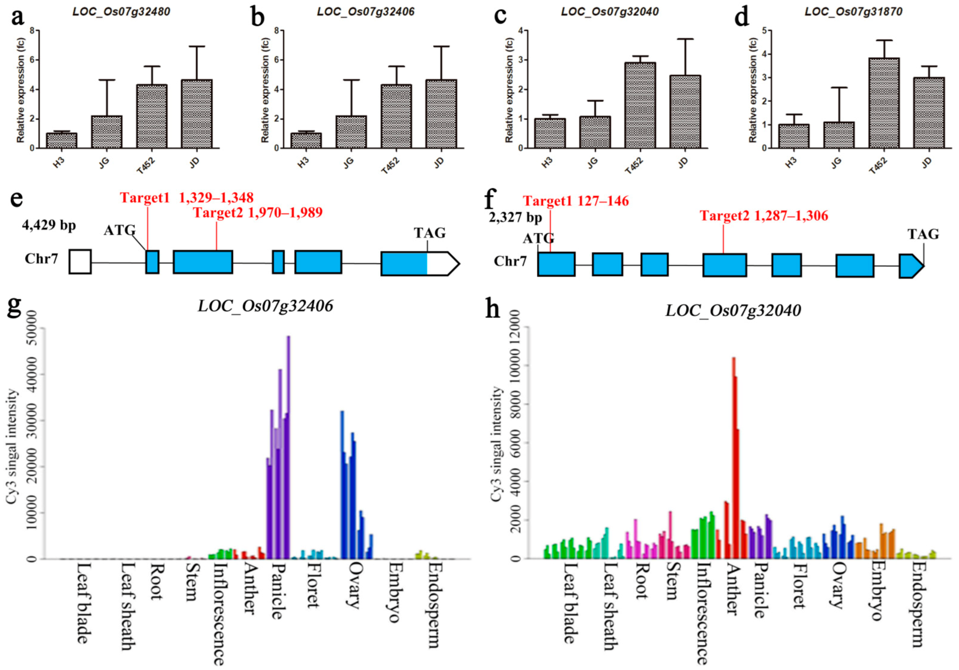 Ijms 22 00841 g004 Ijms 22 00841 g004