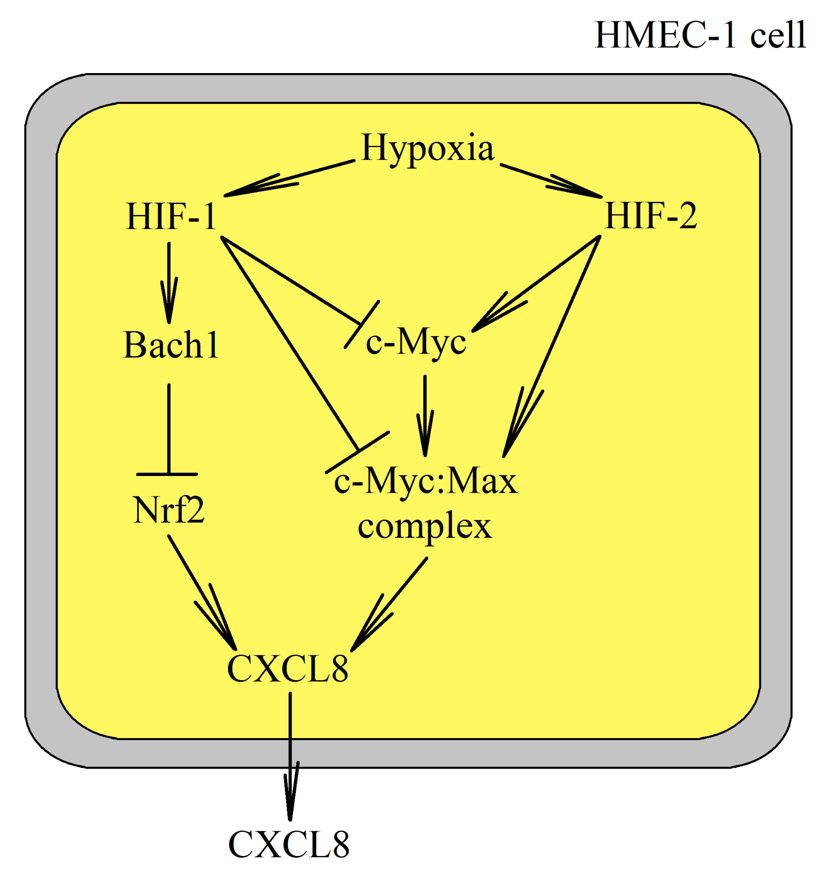 Ijms 22 00843 g003 Ijms 22 00843 g003