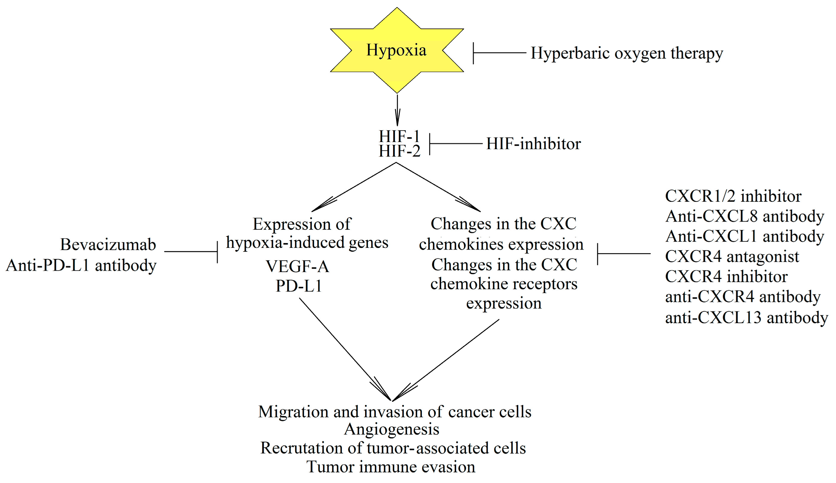 Ijms 22 00843 g005 Ijms 22 00843 g005