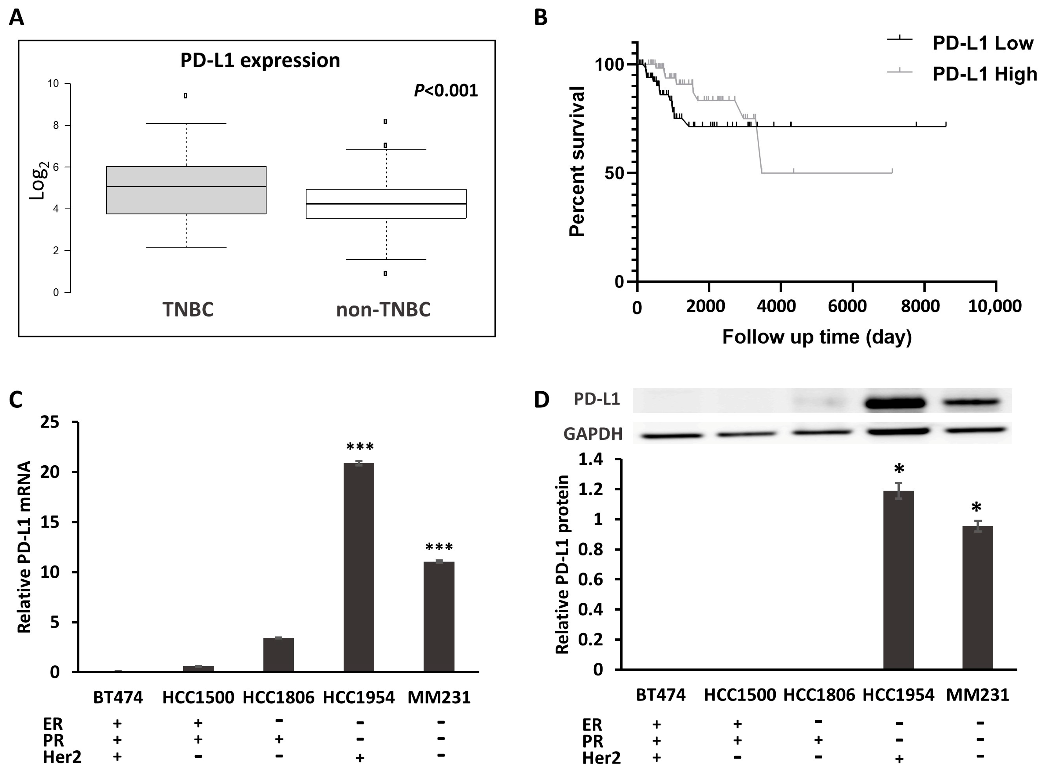 Ijms 22 00844 g001 Ijms 22 00844 g001