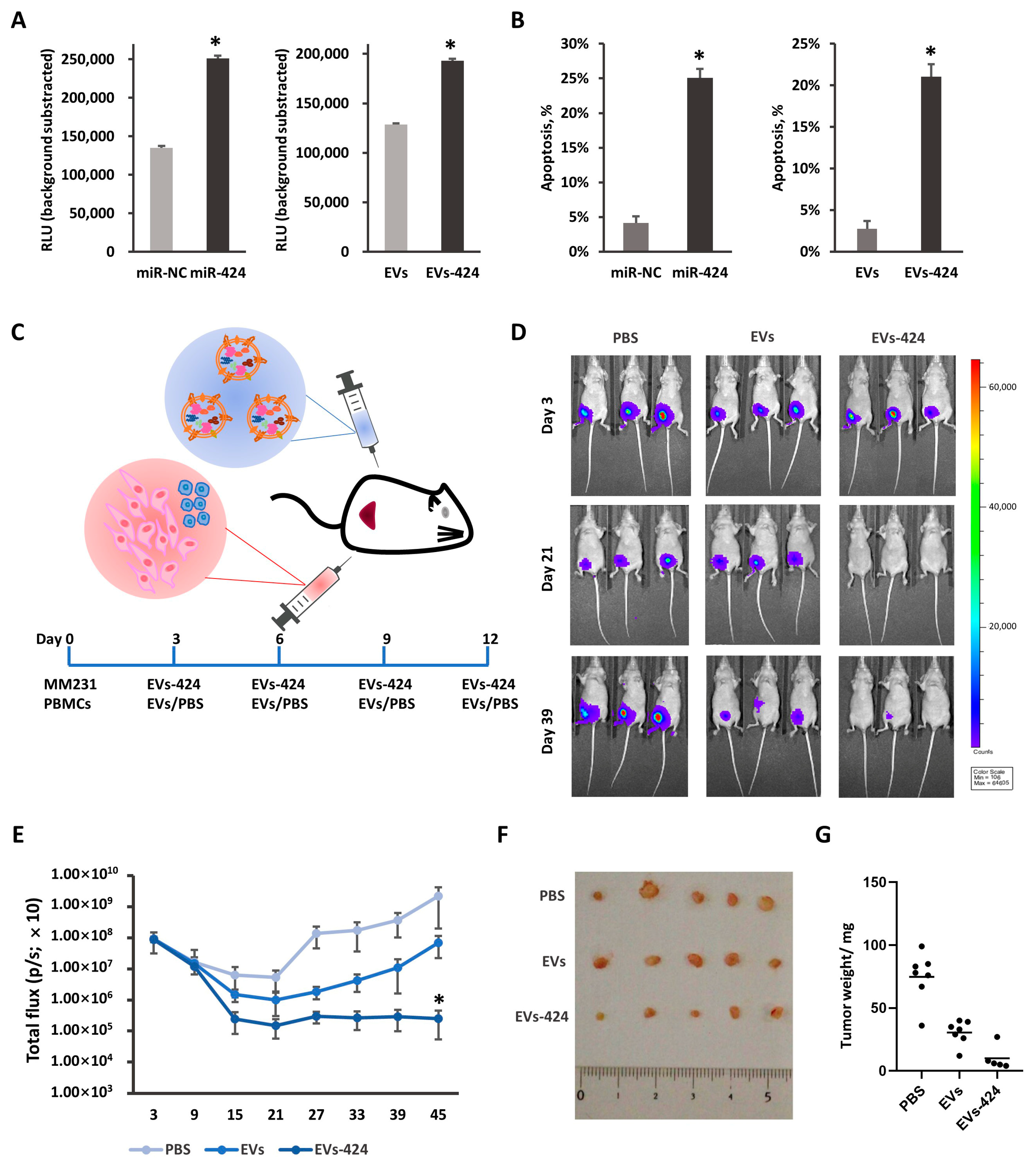 Ijms 22 00844 g006 Ijms 22 00844 g006