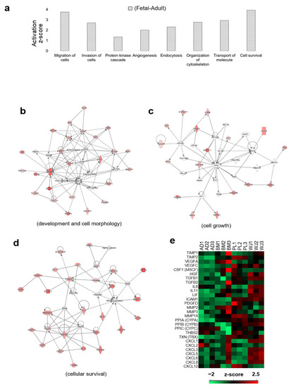 Comparative Proteomic Analysis of the Mesenchymal Stem Cells Secretome ...