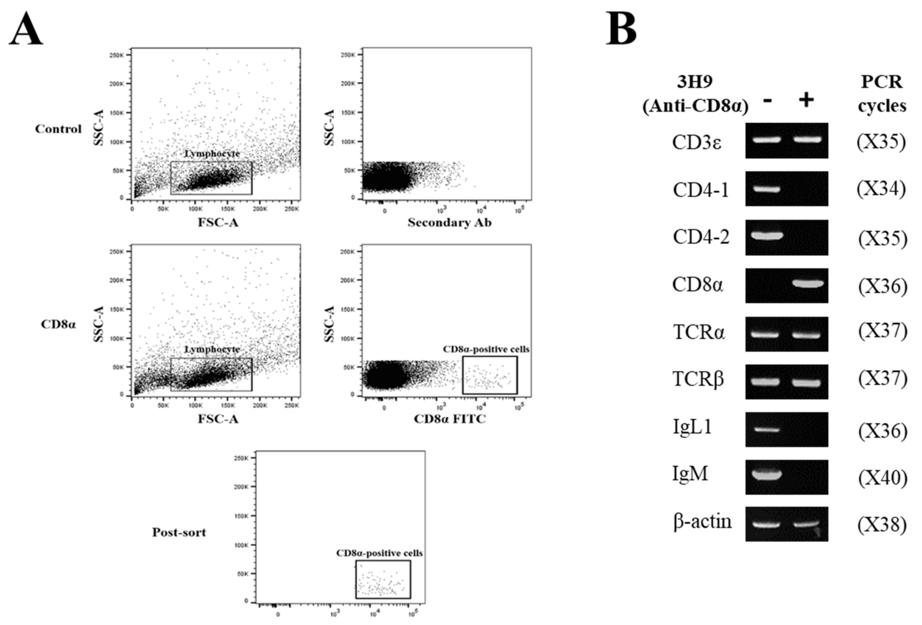 Ijms 22 00847 g006 Ijms 22 00847 g006