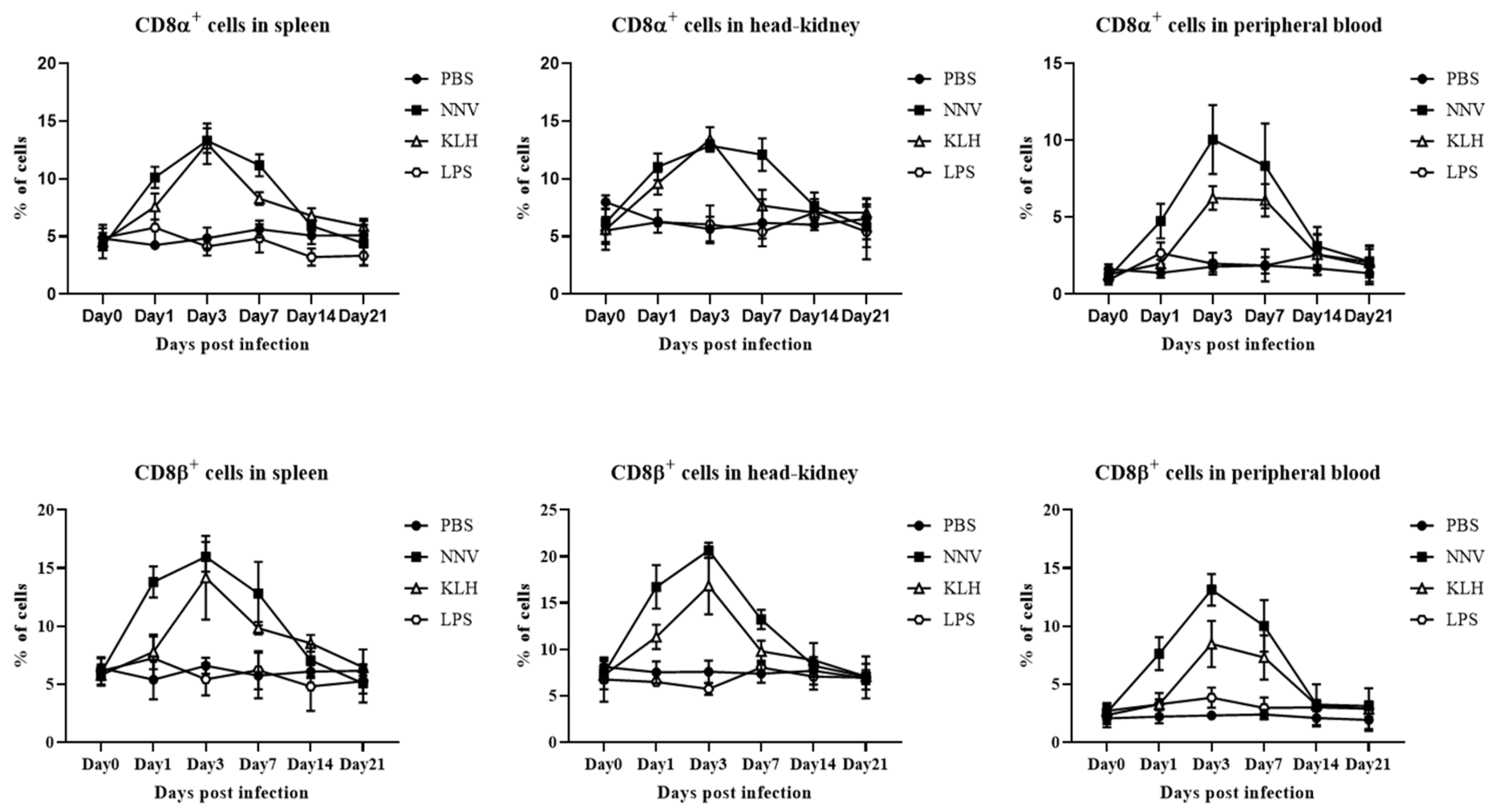 Ijms 22 00847 g010 Ijms 22 00847 g010