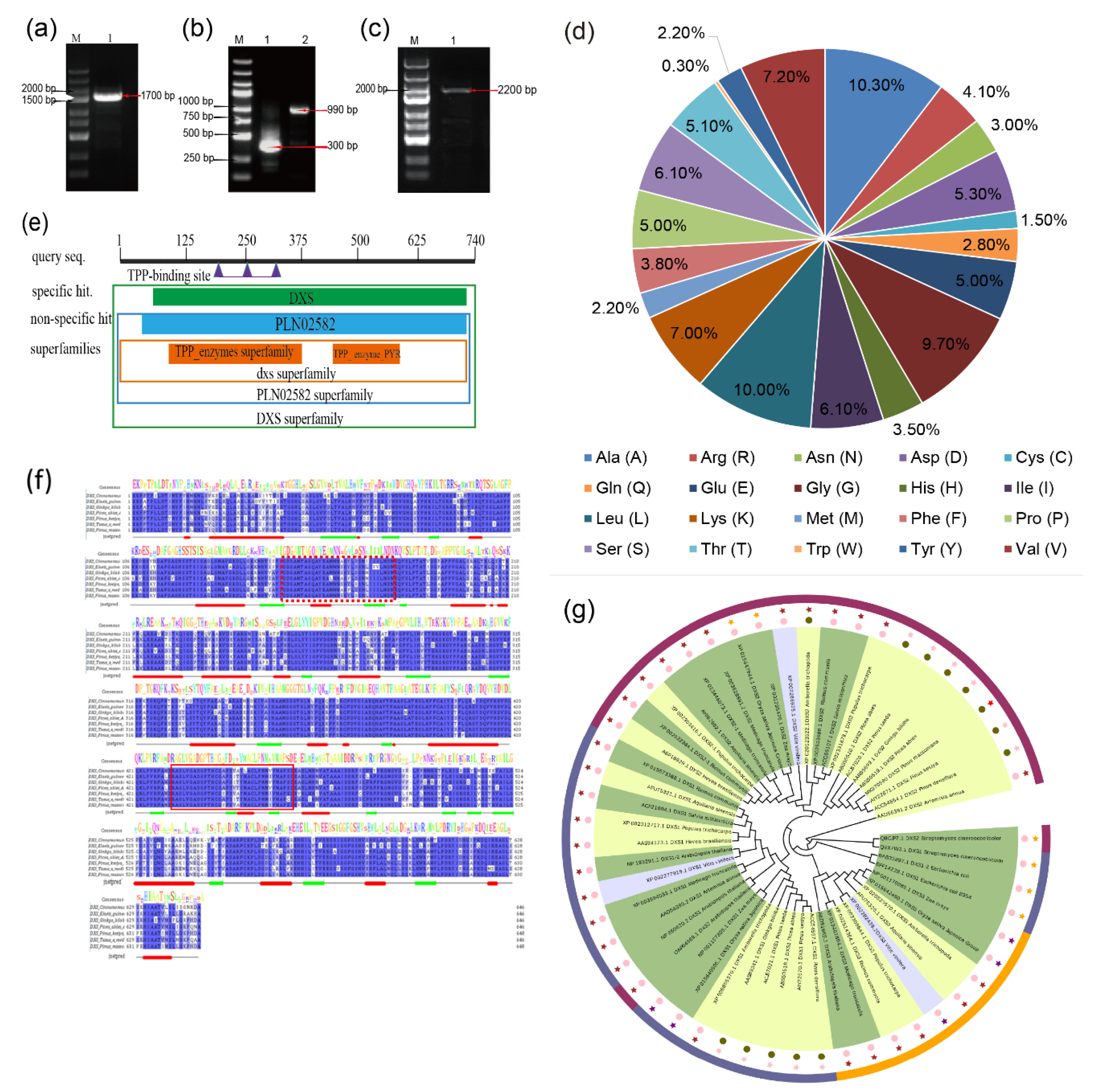 Ijms 22 00848 g001 Ijms 22 00848 g001