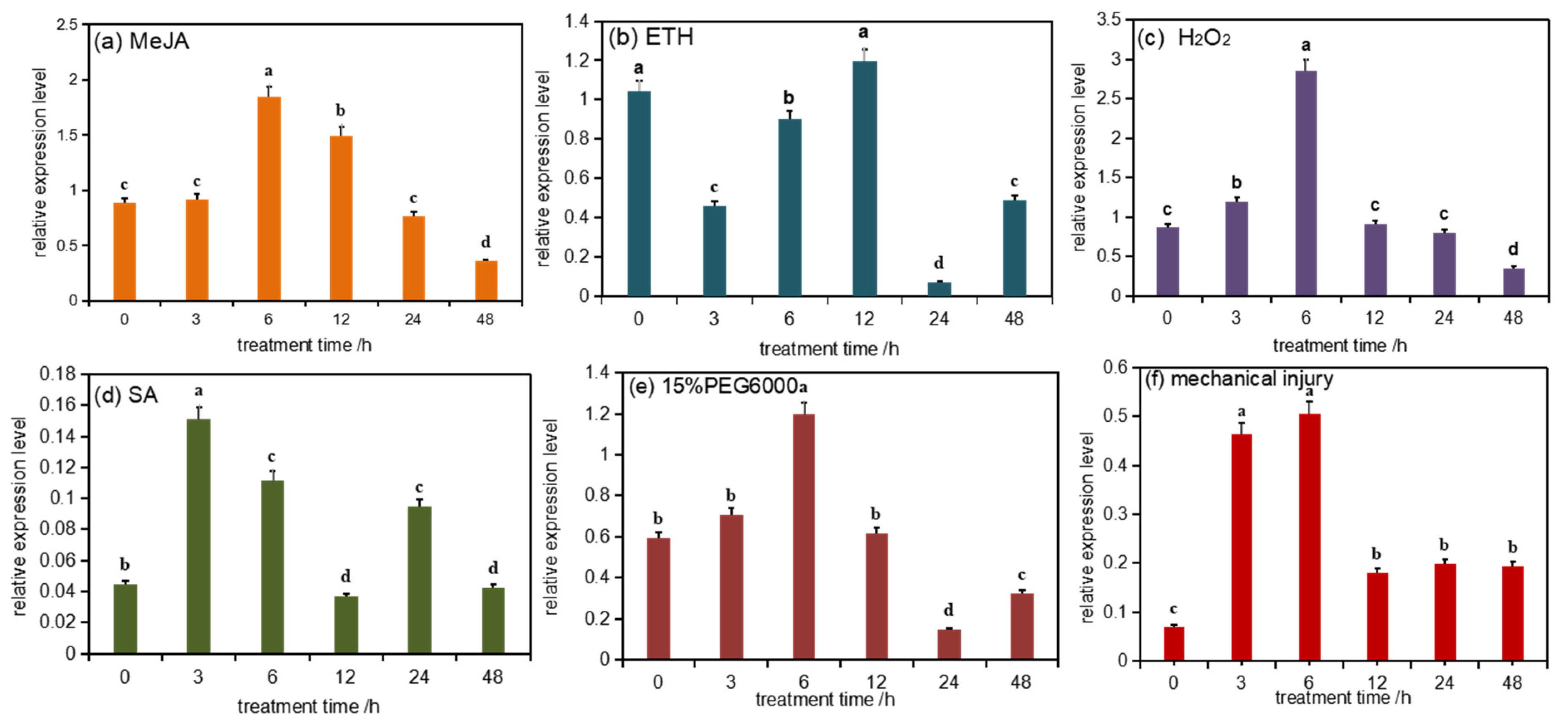 Ijms 22 00848 g003 Ijms 22 00848 g003