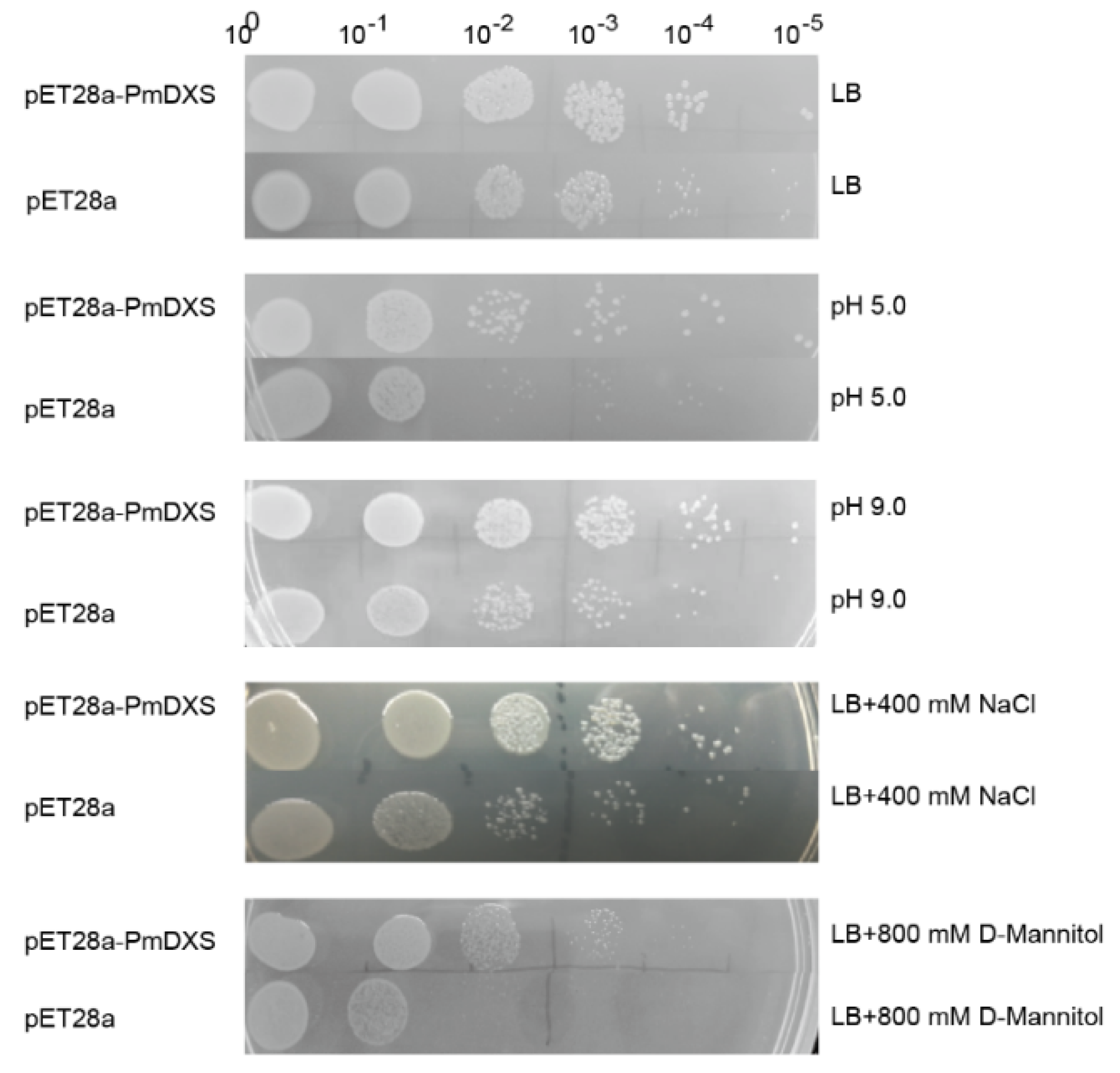 Ijms 22 00848 g005 Ijms 22 00848 g005