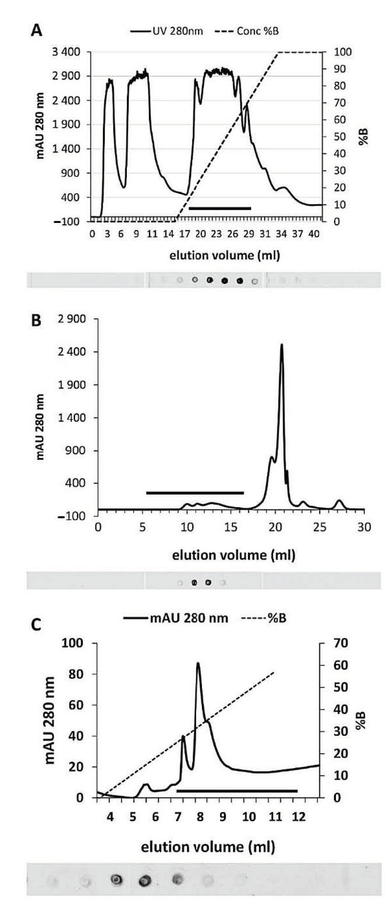 Ijms 22 00851 g002 Ijms 22 00851 g002