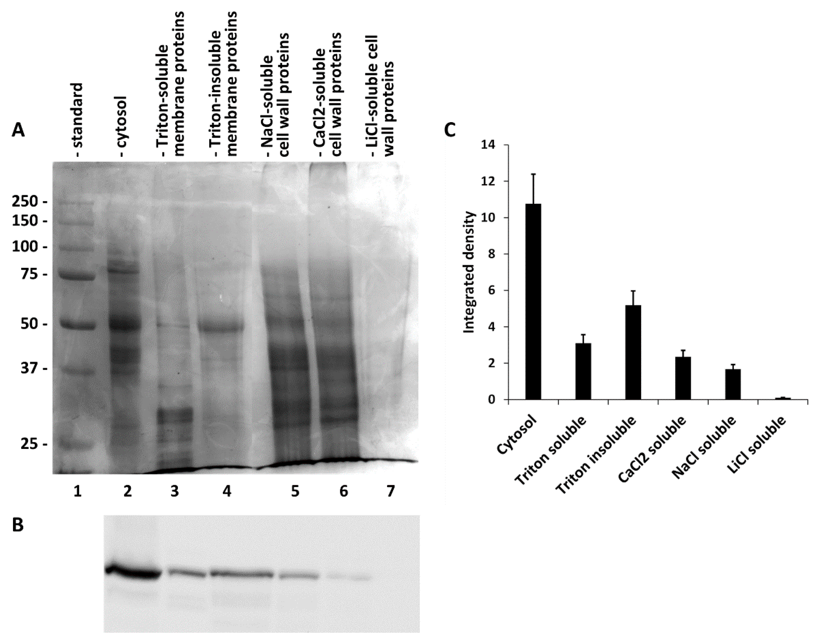 Ijms 22 00851 g004 Ijms 22 00851 g004