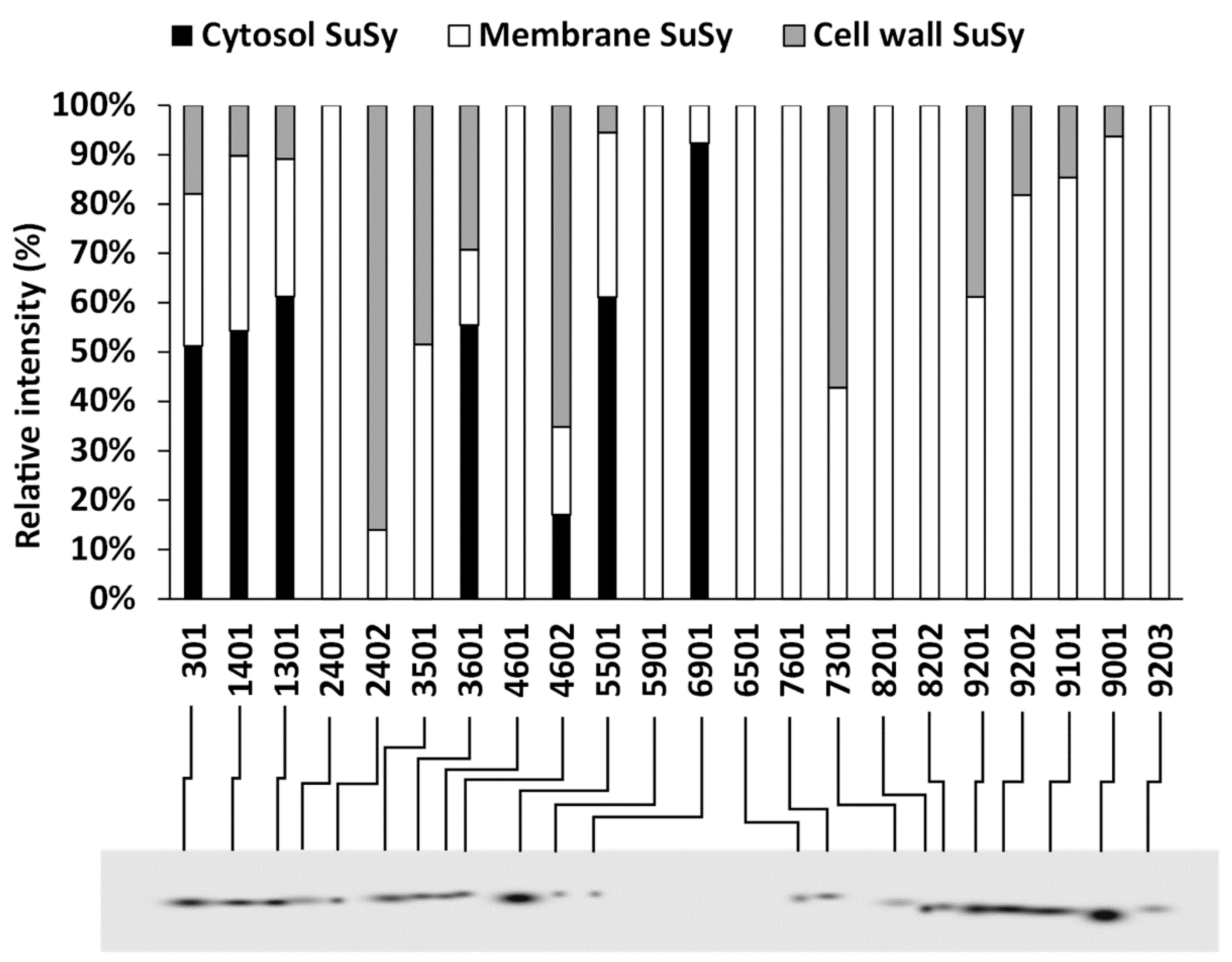 Ijms 22 00851 g008 Ijms 22 00851 g008