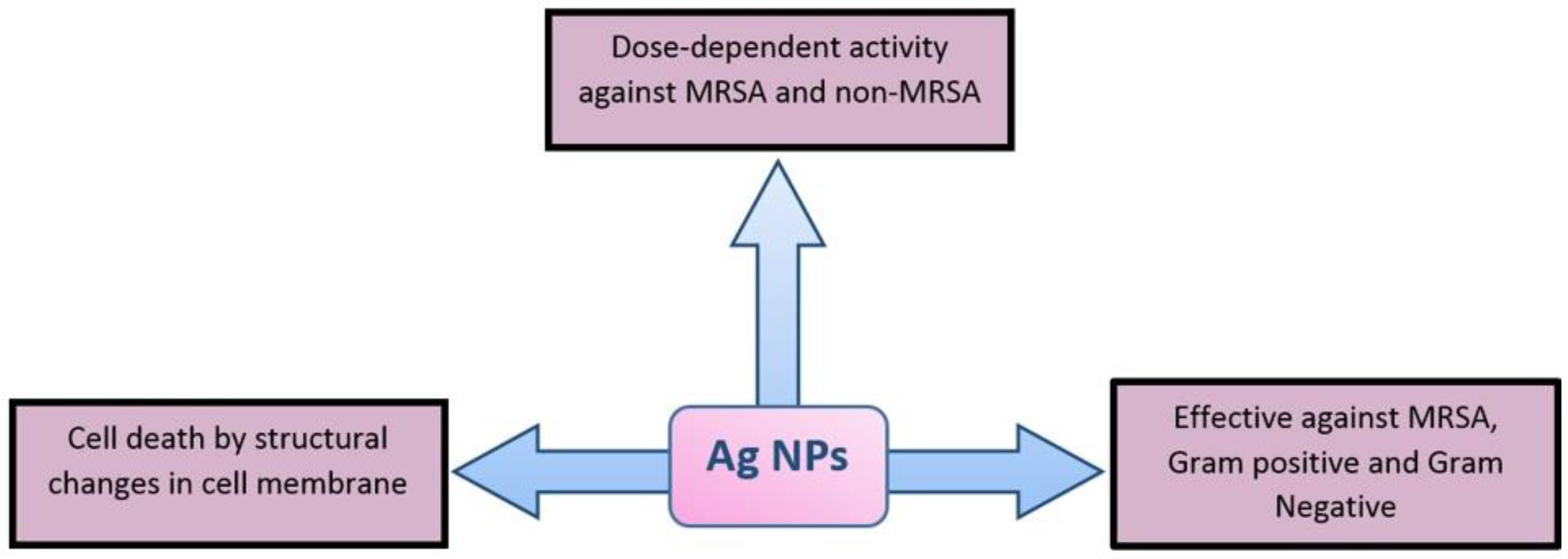 Ijms 22 00859 g004 Ijms 22 00859 g004