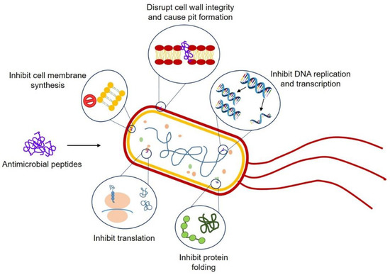 Pulling the Brakes on Fast and Furious Multiple Drug-Resistant