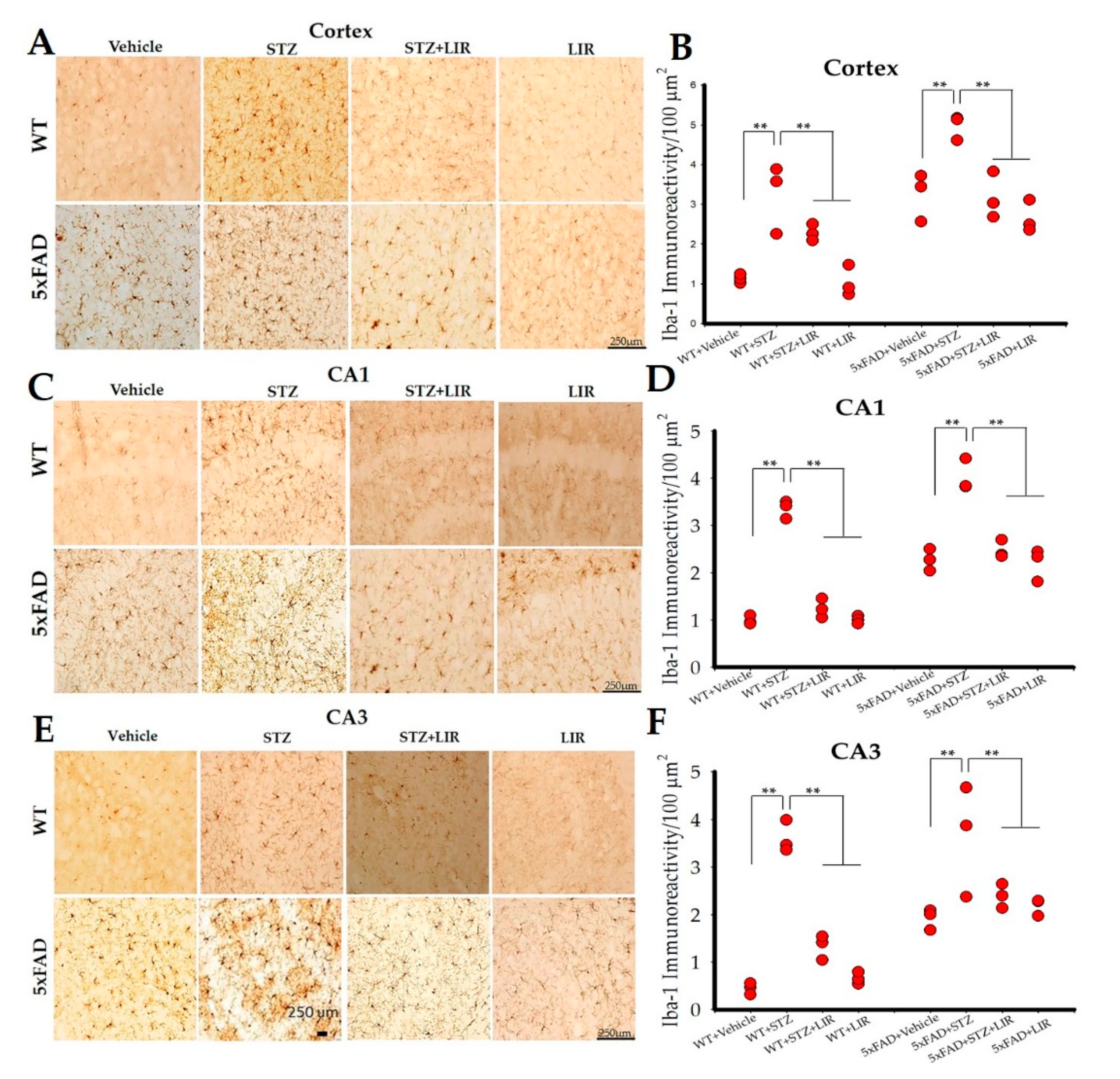 Ijms 22 00860 g003 Ijms 22 00860 g003