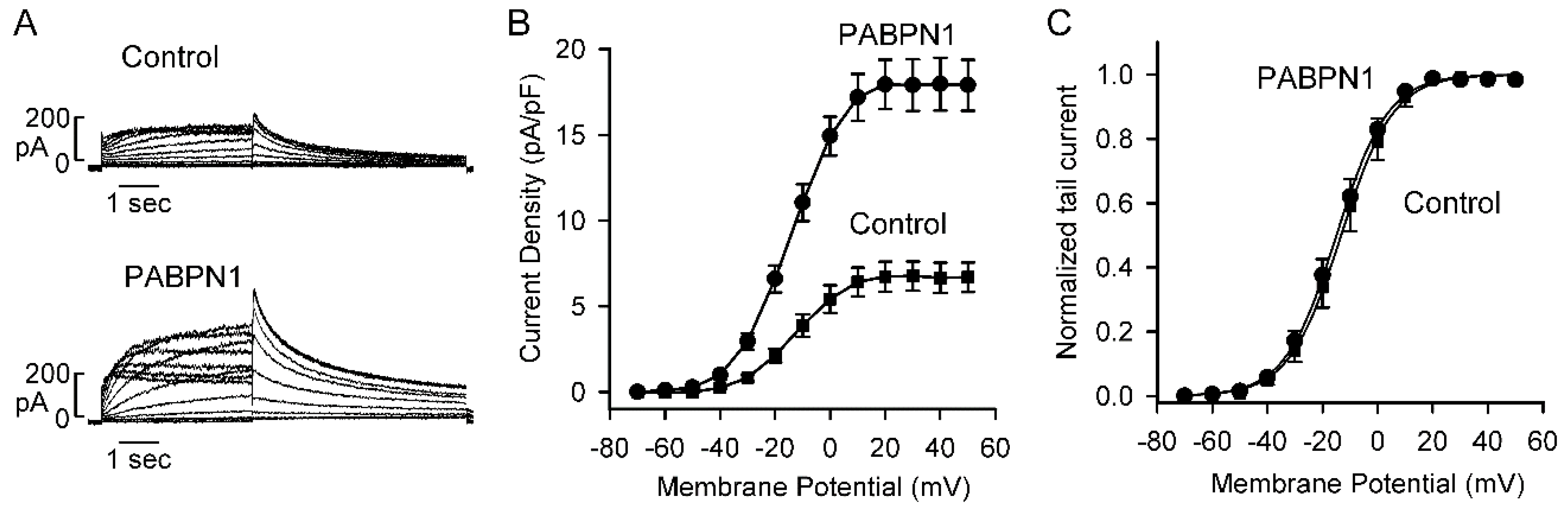 Ijms 22 00863 g006 Ijms 22 00863 g006