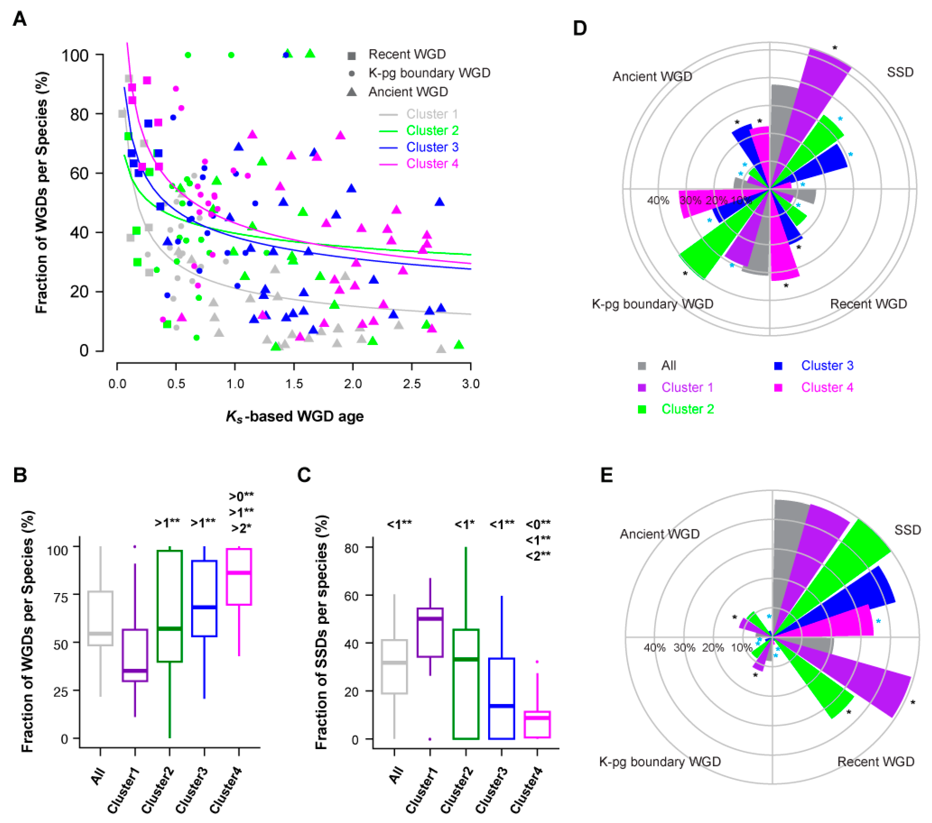 Ijms 22 00871 g007 Ijms 22 00871 g007