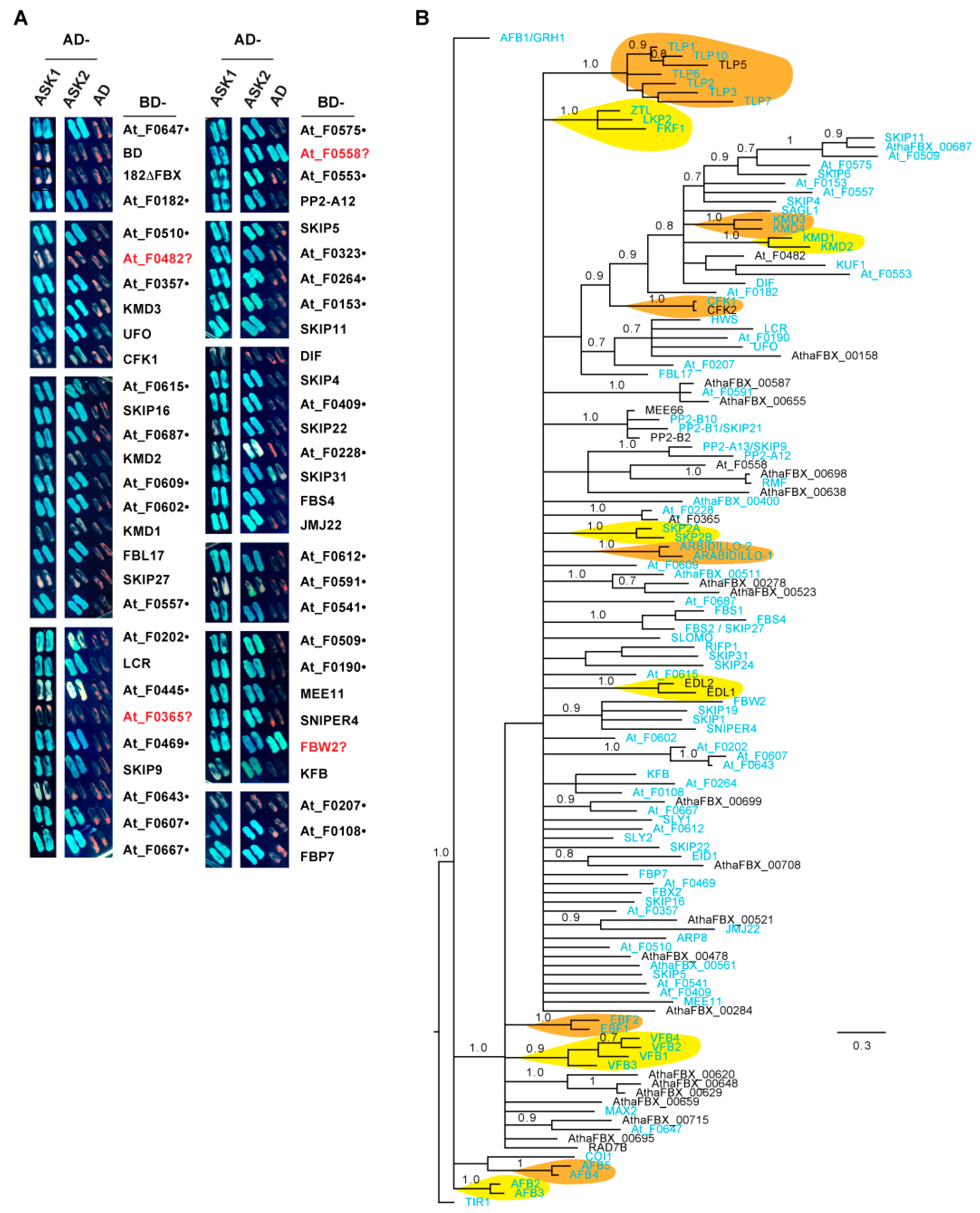 Ijms 22 00871 g009 Ijms 22 00871 g009