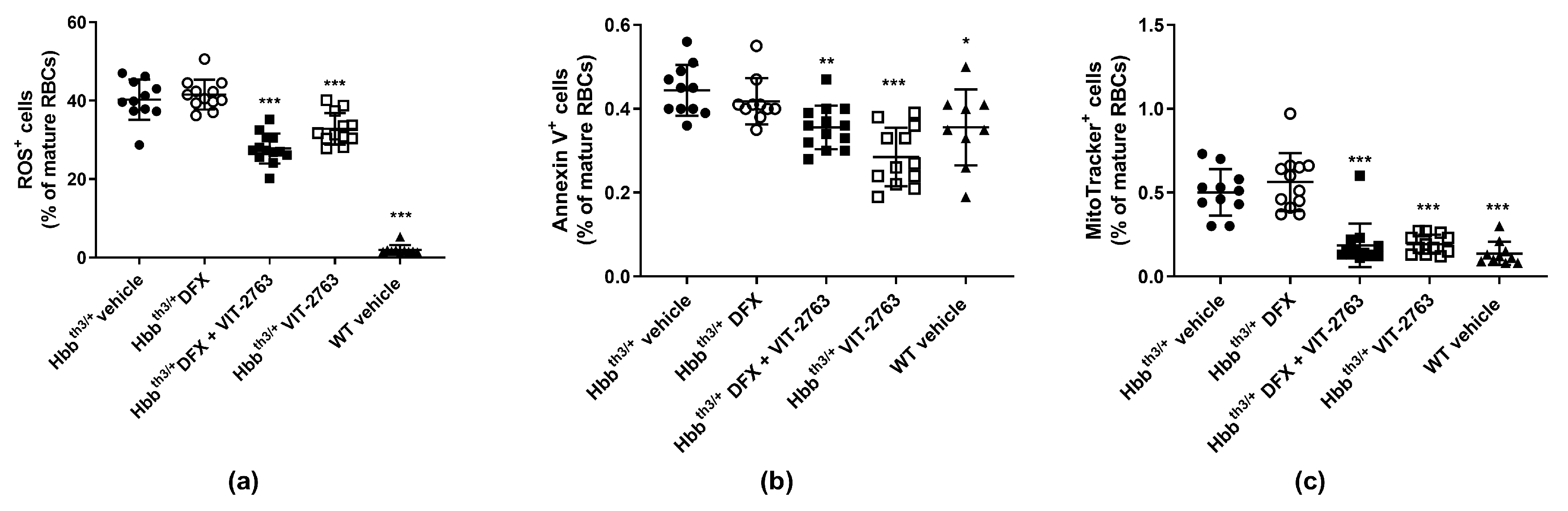 Ijms 22 00873 g004 Ijms 22 00873 g004