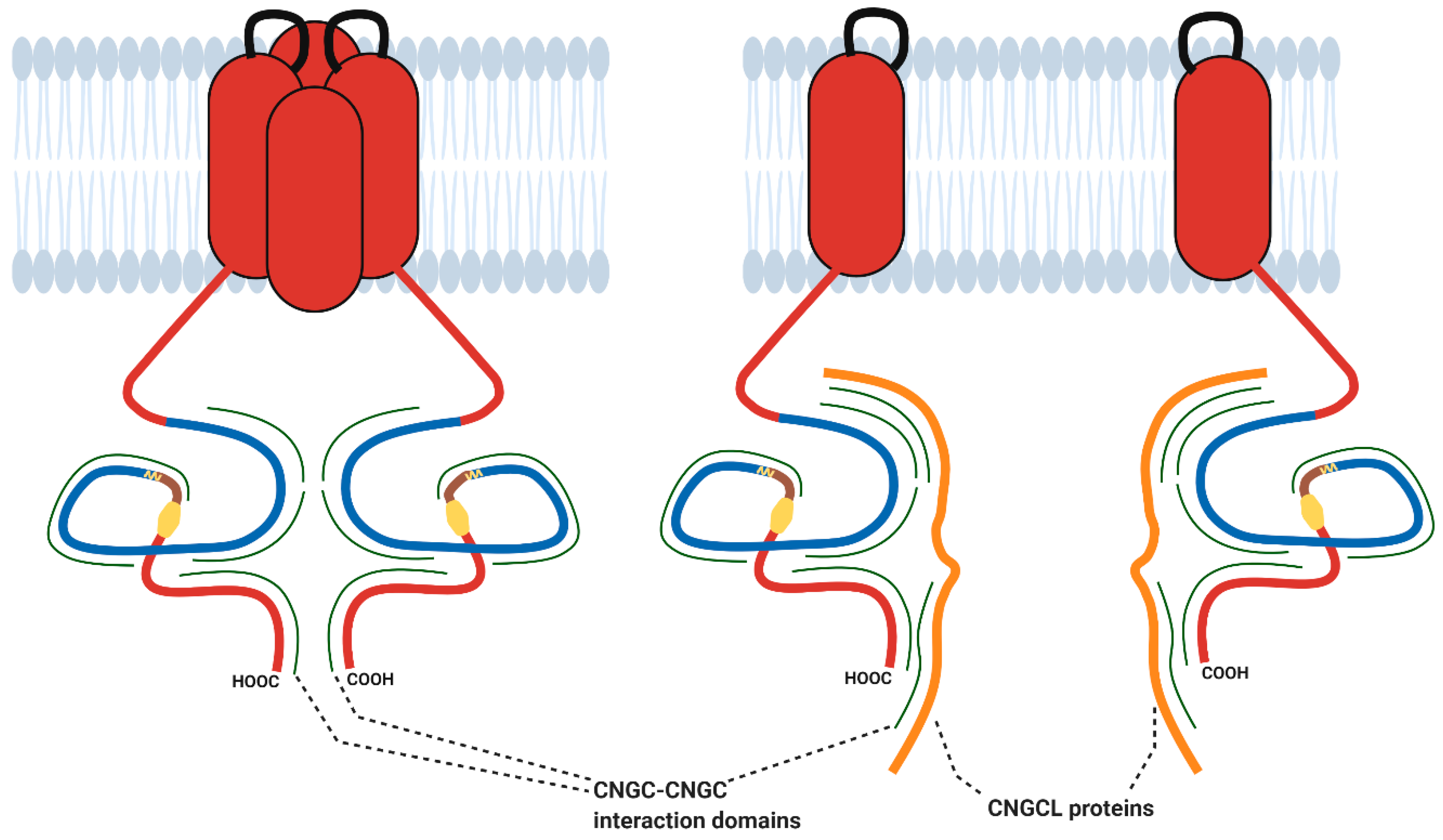 Ijms 22 00874 g004 Ijms 22 00874 g004