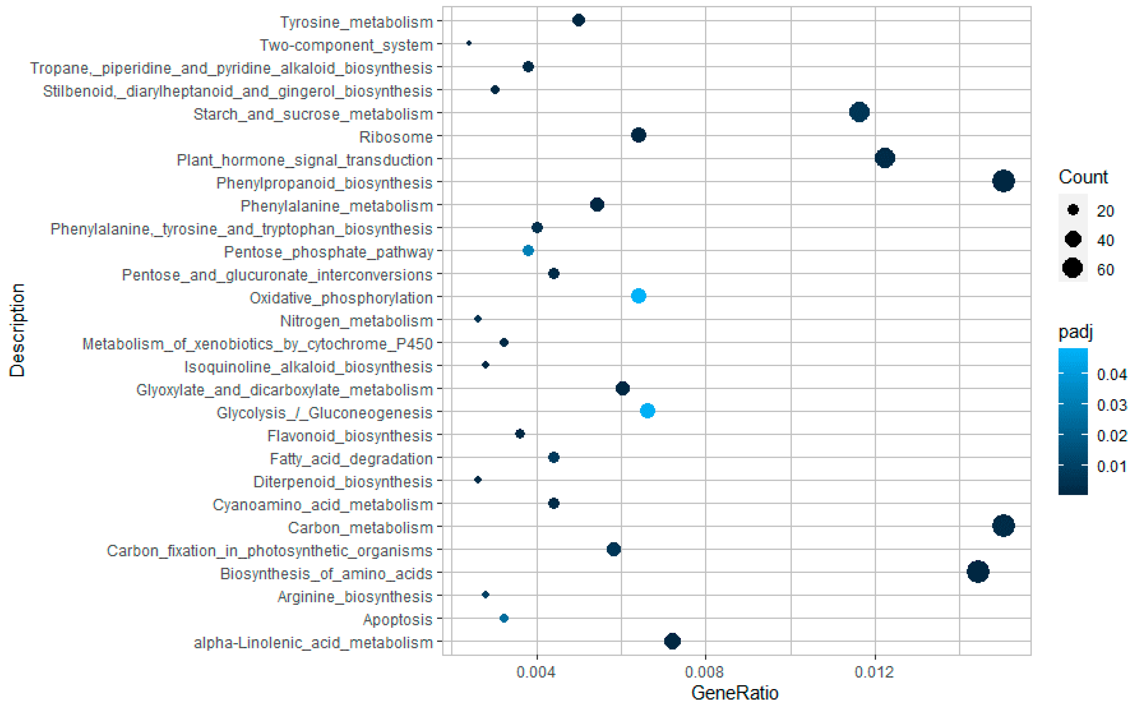 Ijms 22 00882 g004 Ijms 22 00882 g004