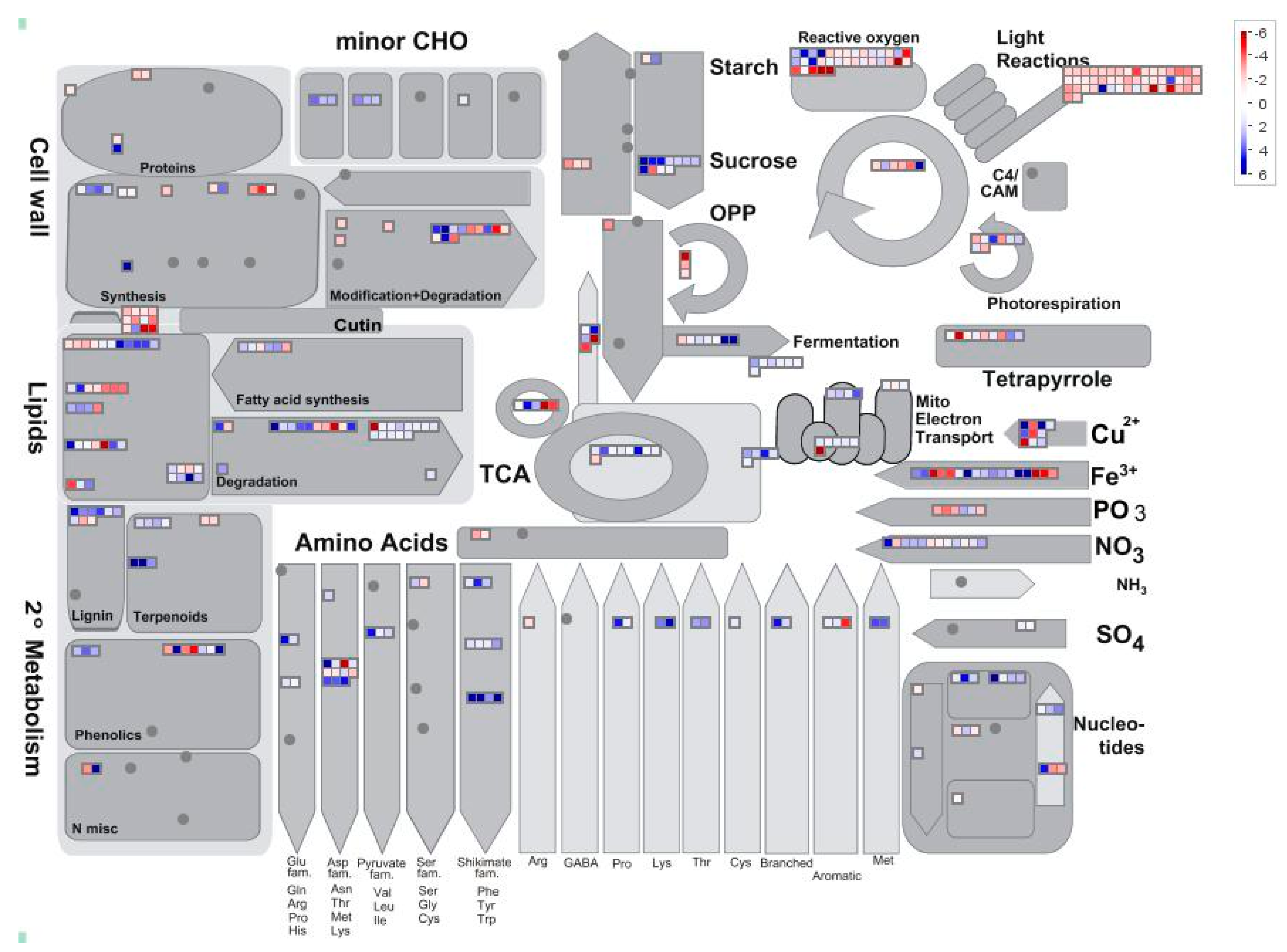 Ijms 22 00882 g006 Ijms 22 00882 g006