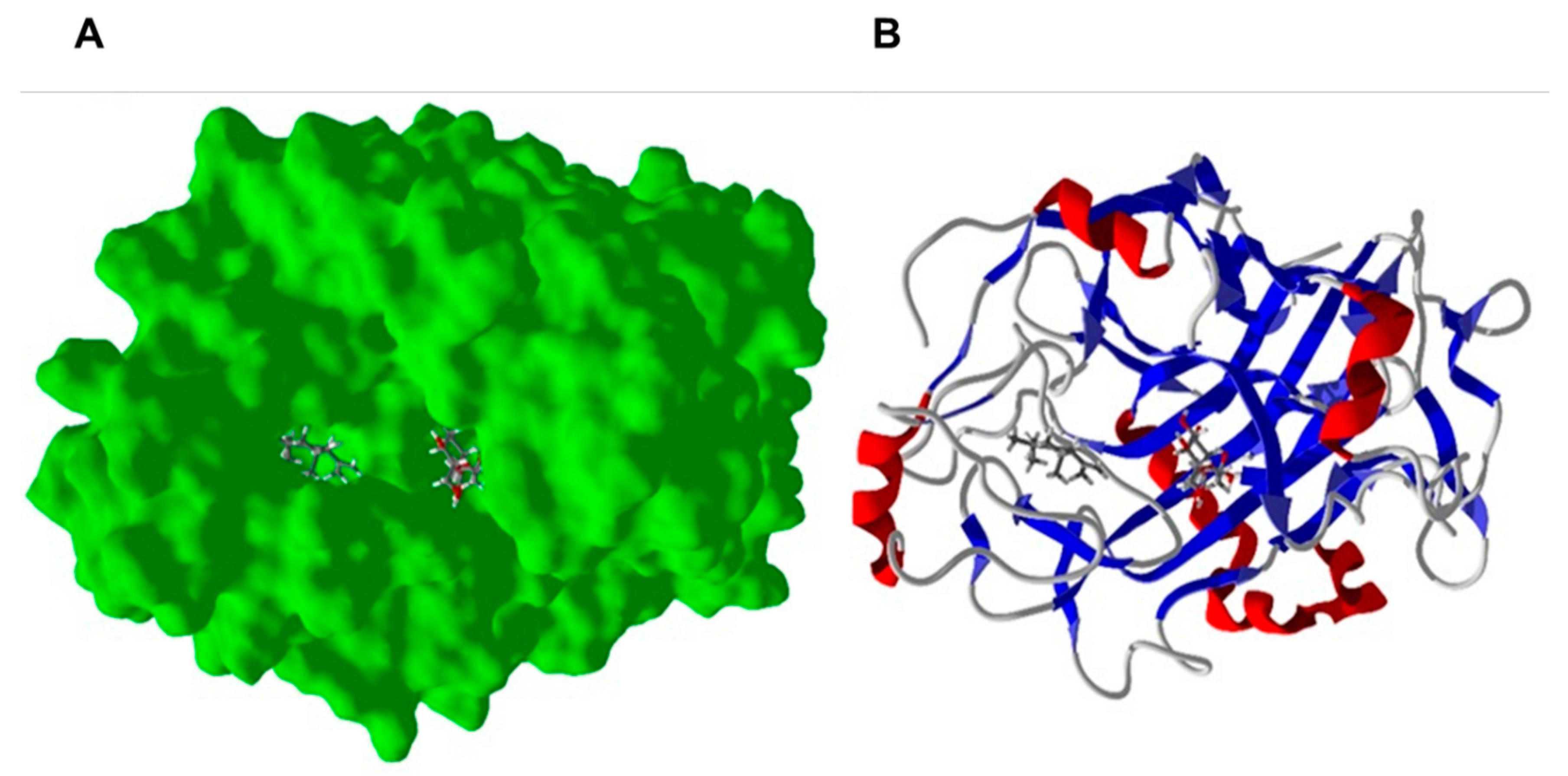Ijms 22 00890 g007 Ijms 22 00890 g007