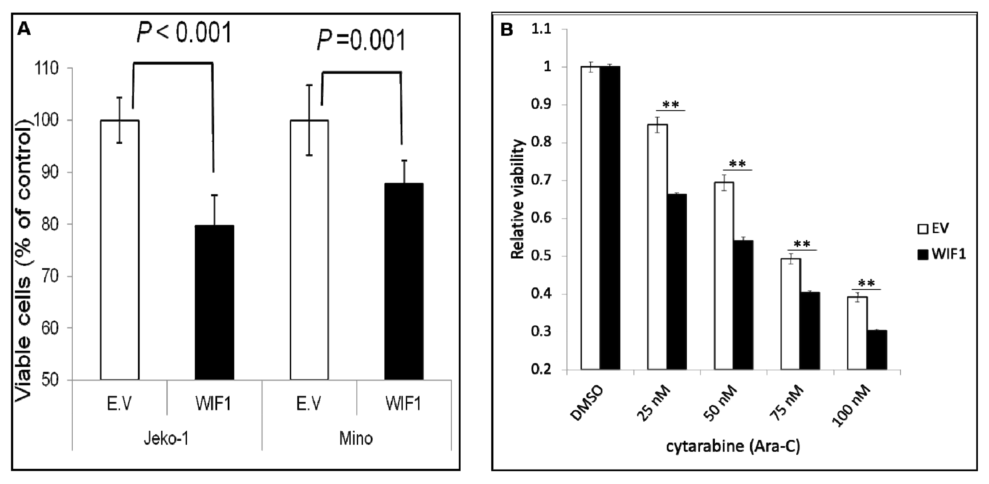 Ijms 22 00893 g005 Ijms 22 00893 g005