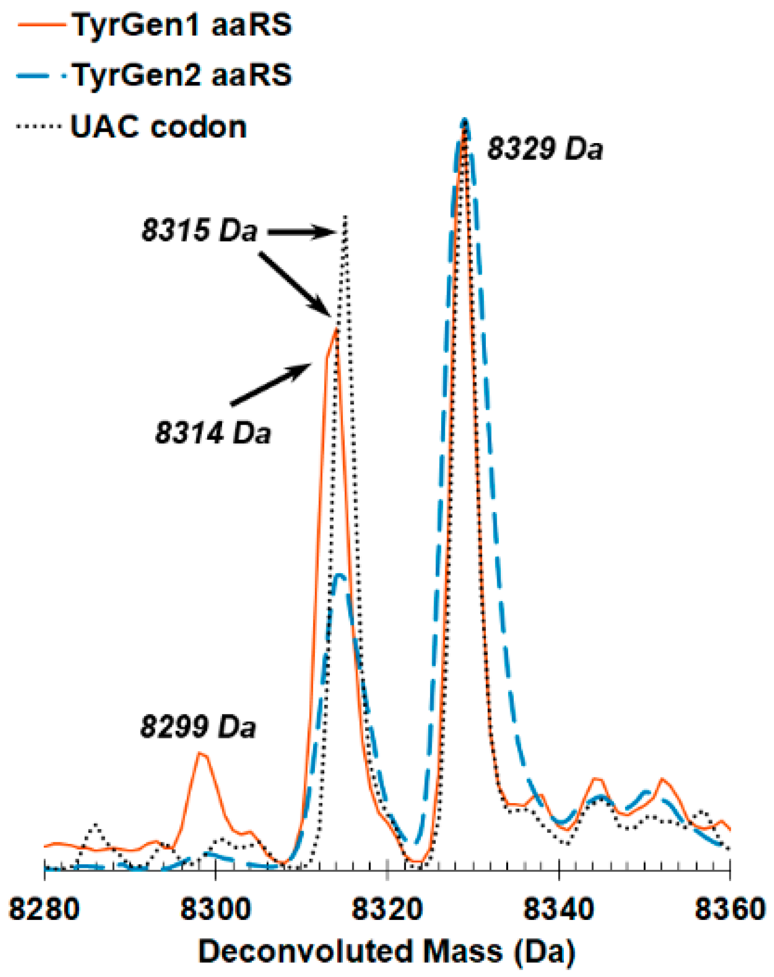 Ijms 22 00895 g002 Ijms 22 00895 g002