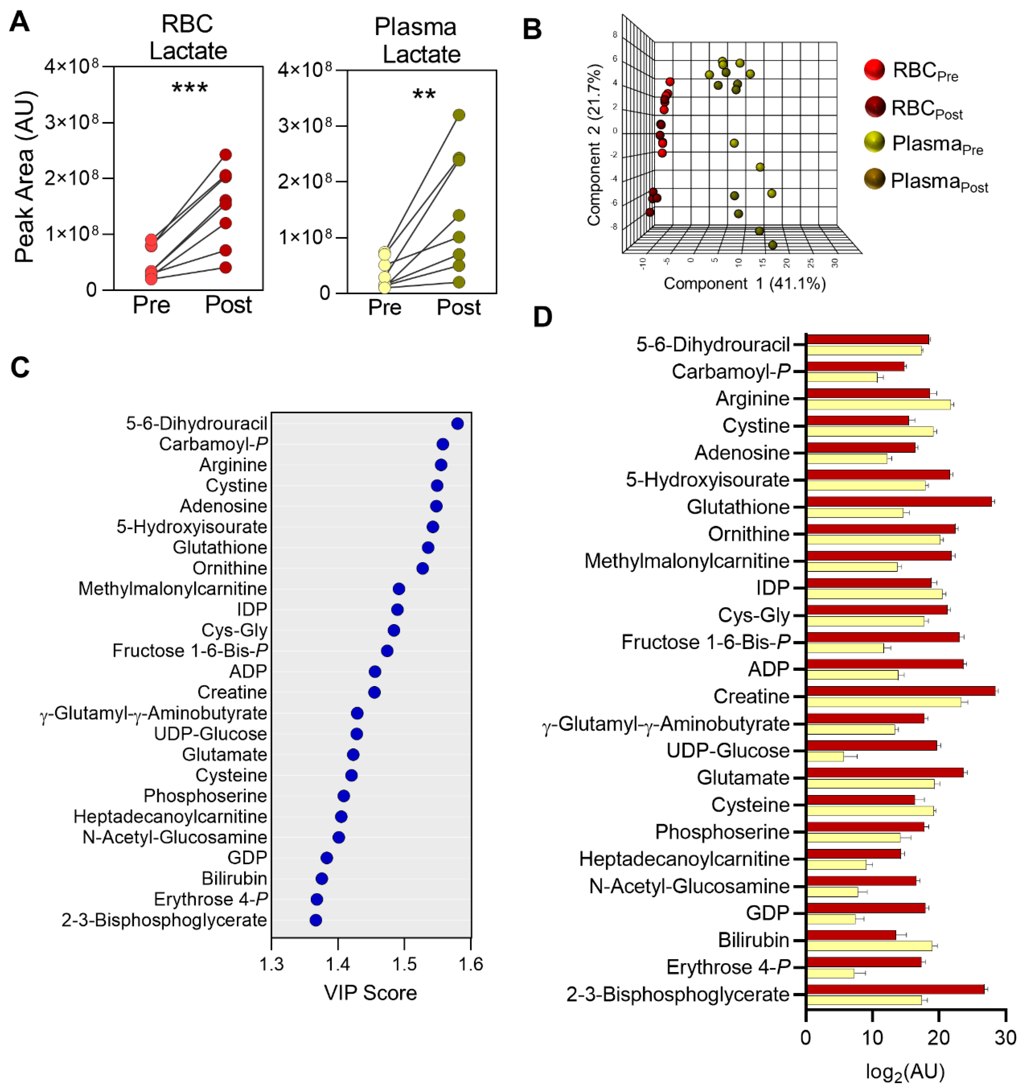 Ijms 22 00896 g002 Ijms 22 00896 g002