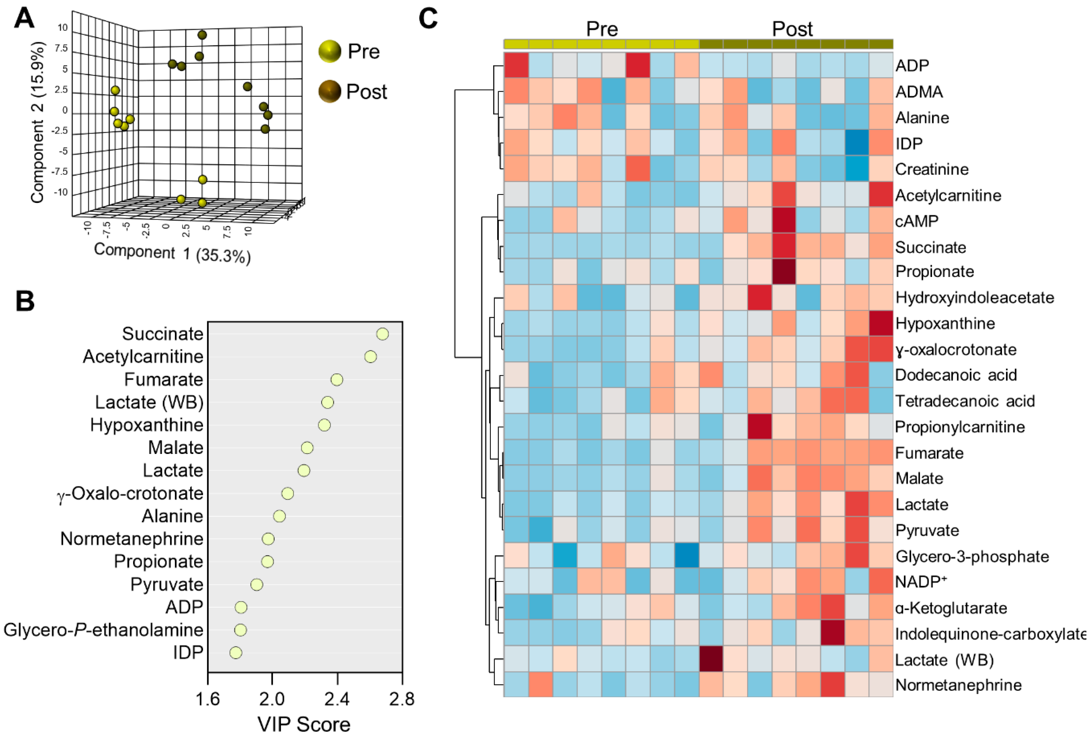 Ijms 22 00896 g003 Ijms 22 00896 g003