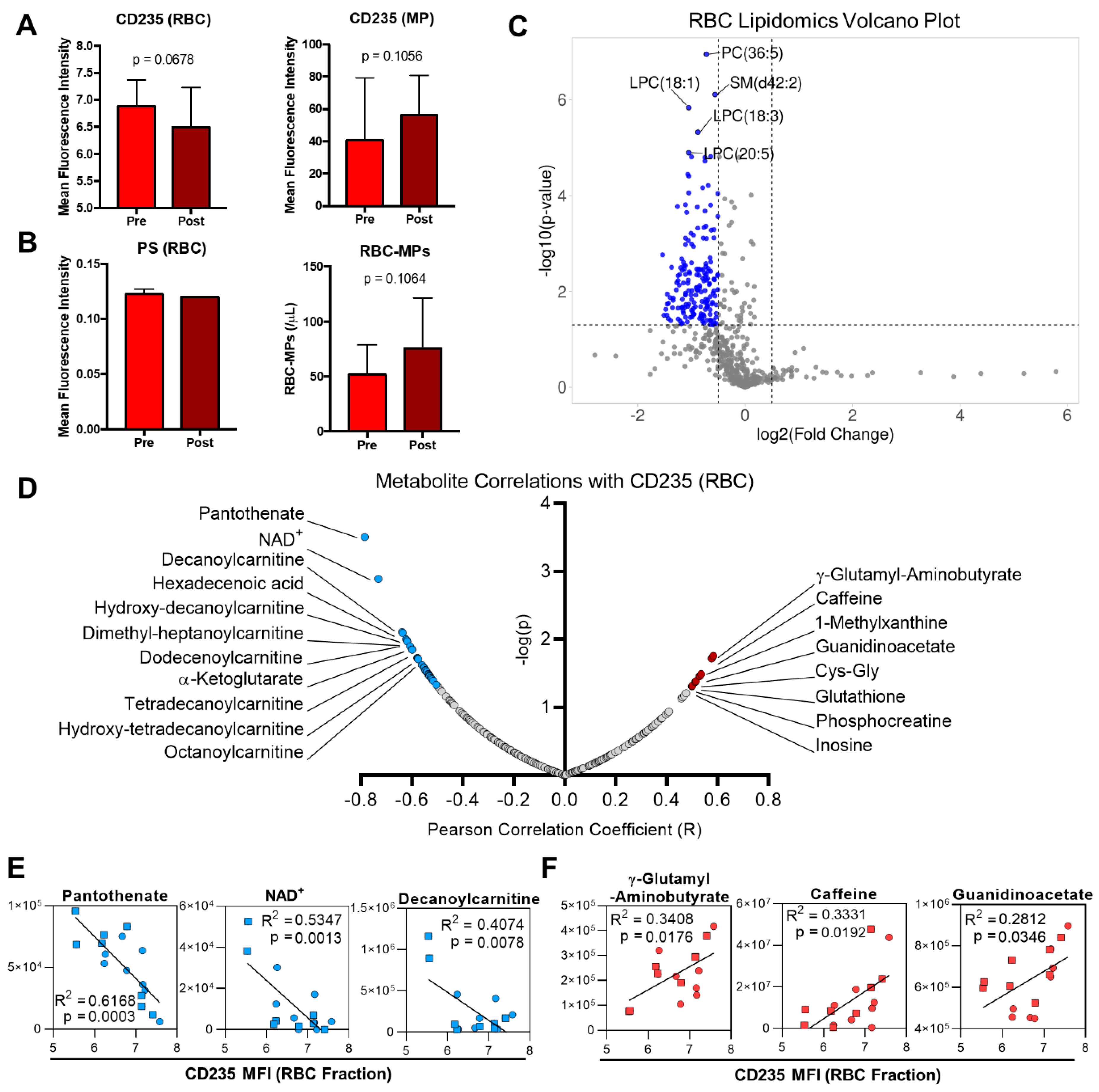 Ijms 22 00896 g005 Ijms 22 00896 g005
