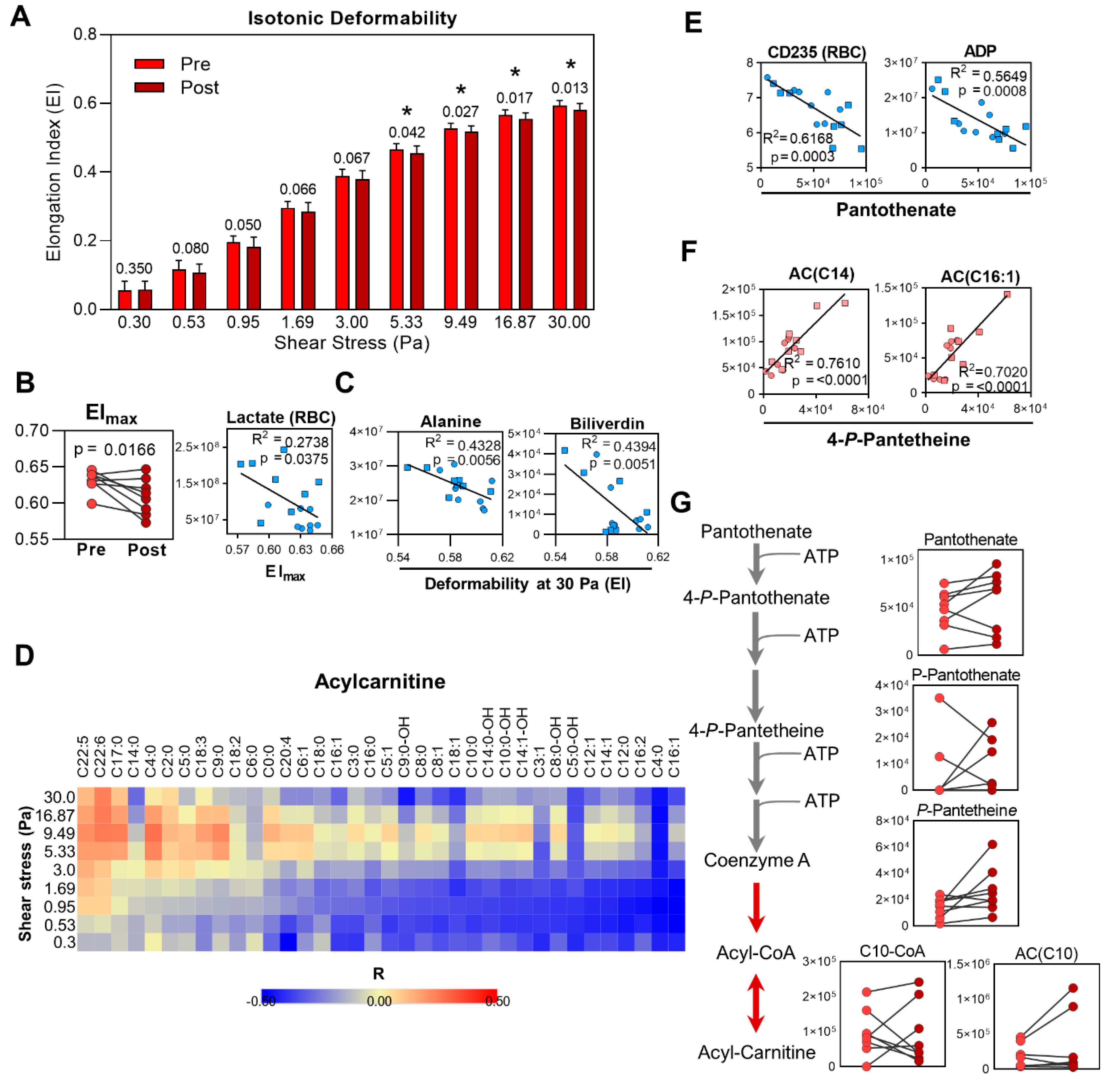Ijms 22 00896 g006 Ijms 22 00896 g006