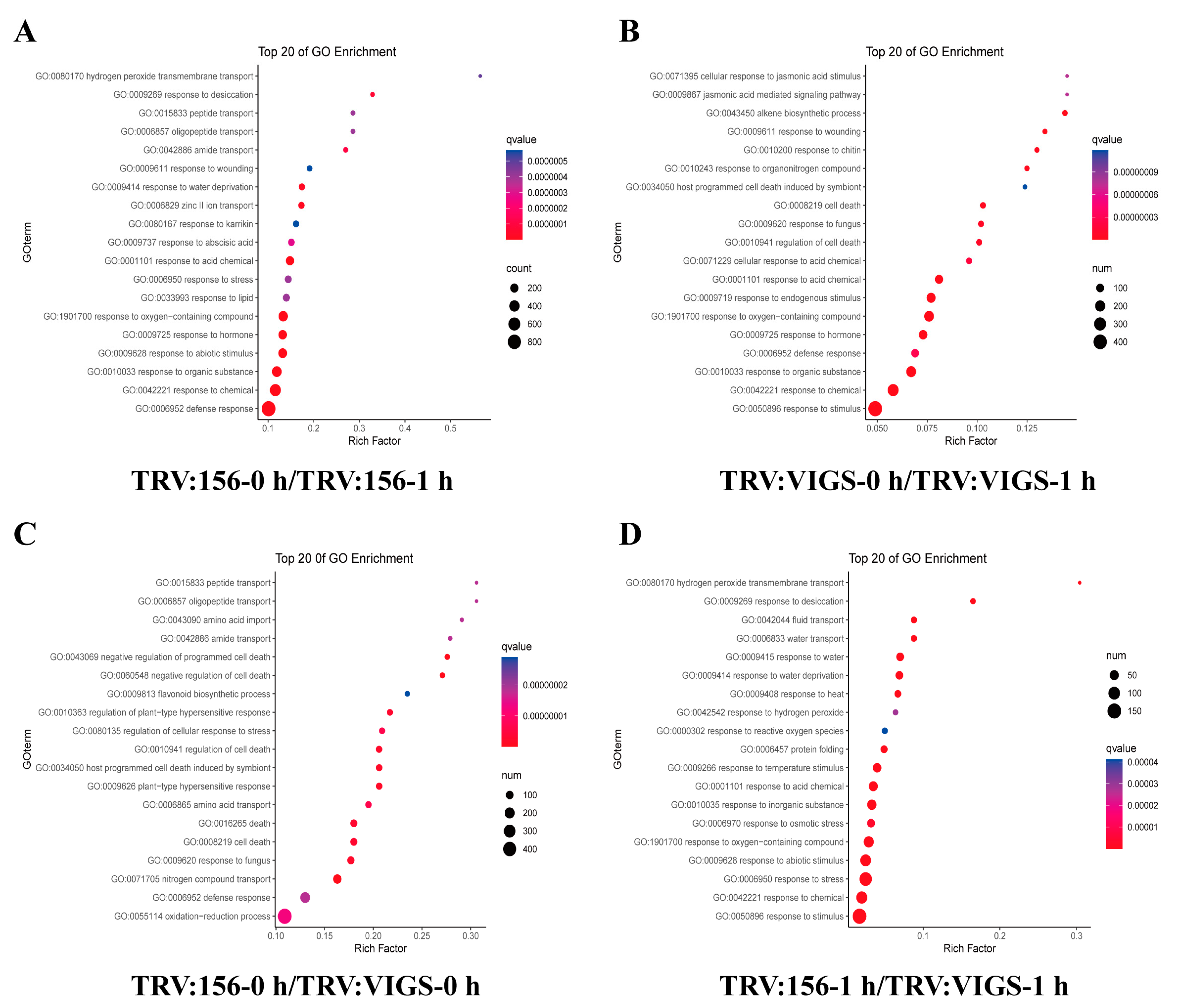 Ijms Free Full Text Transcriptome Analysis Revealed Ghwox4 Intercedes Myriad Regulatory Pathways To Modulate Drought Tolerance And Vascular Growth In Cotton Html Ijms Free Full Text Transcriptome Analysis Revealed Ghwox4 Intercedes Myriad Regulatory Pathways To Modulate Drought Tolerance And Vascular Growth In Cotton Html