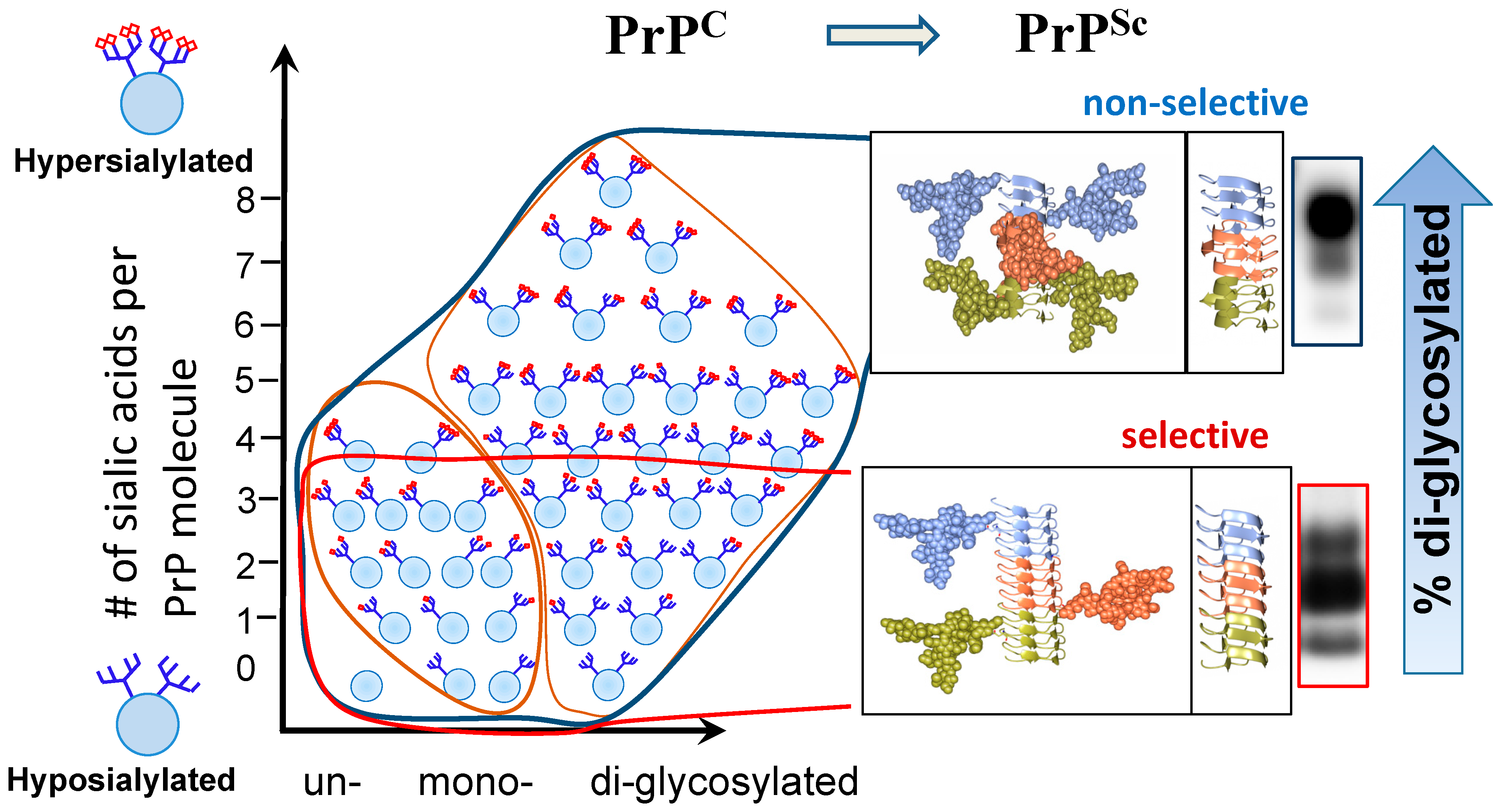Ijms 22 00901 g001 Ijms 22 00901 g001