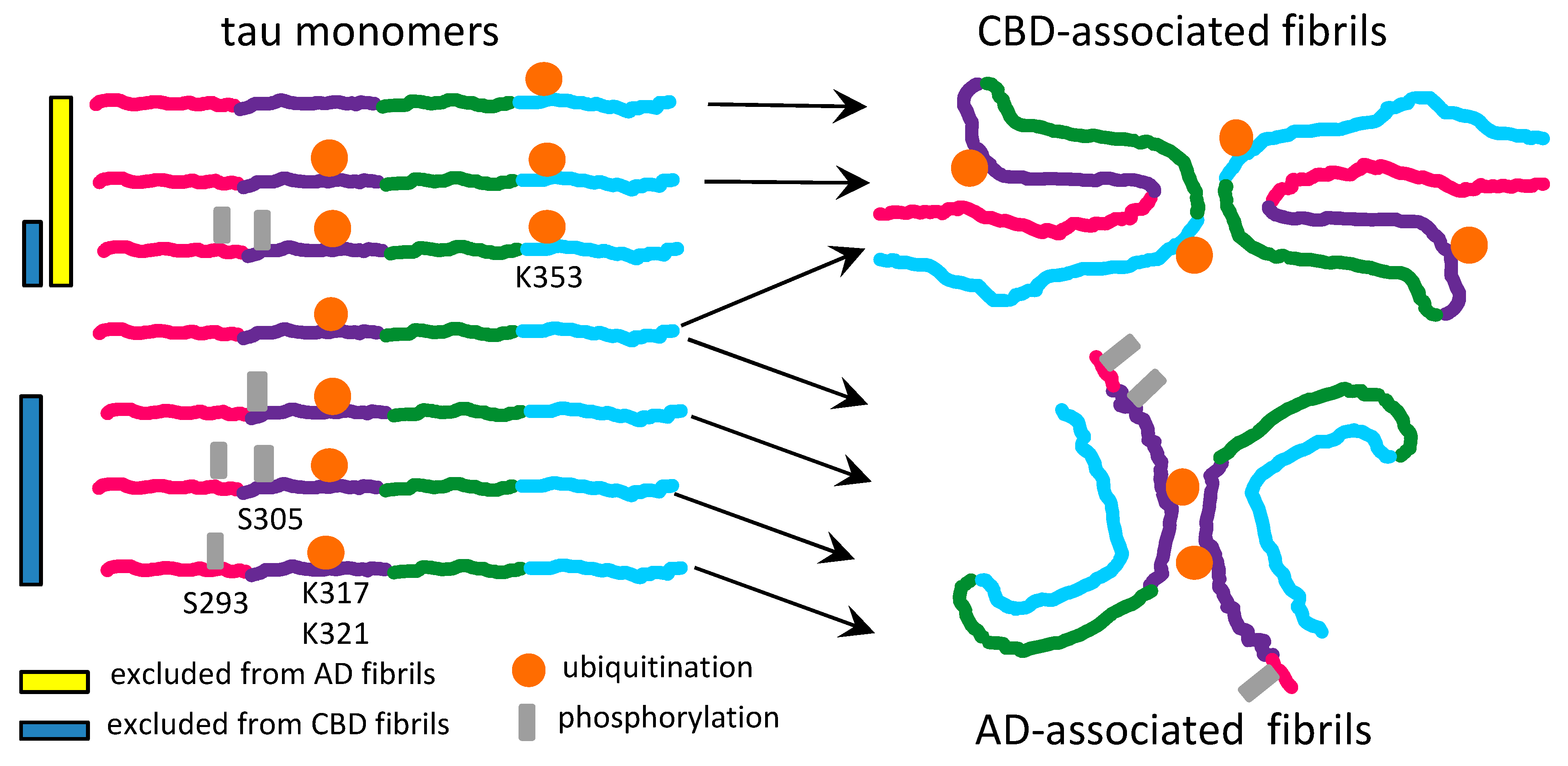Ijms 22 00901 g002 Ijms 22 00901 g002
