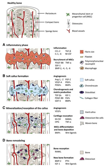 Ijms 22 00903 g001 550