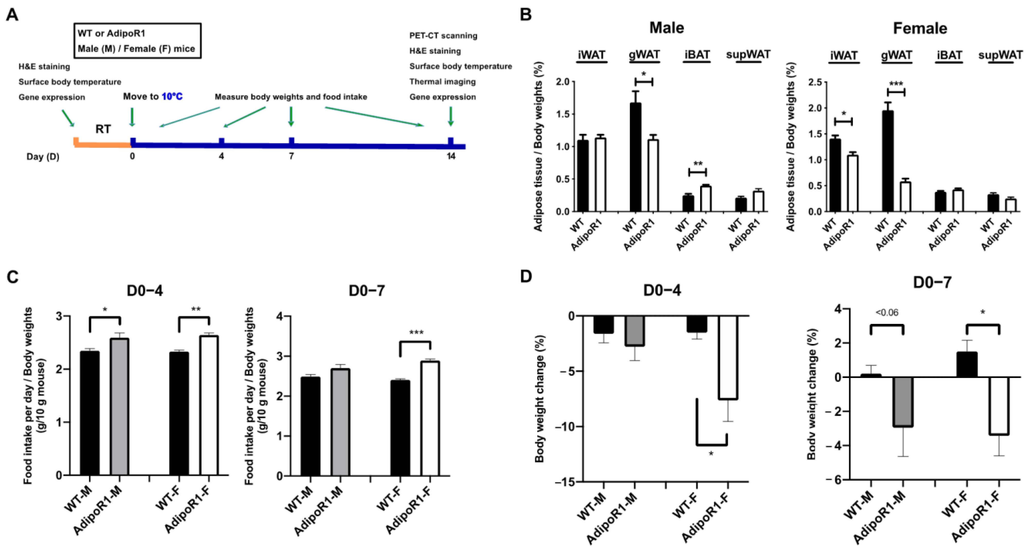 Ijms 22 00906 g001 Ijms 22 00906 g001