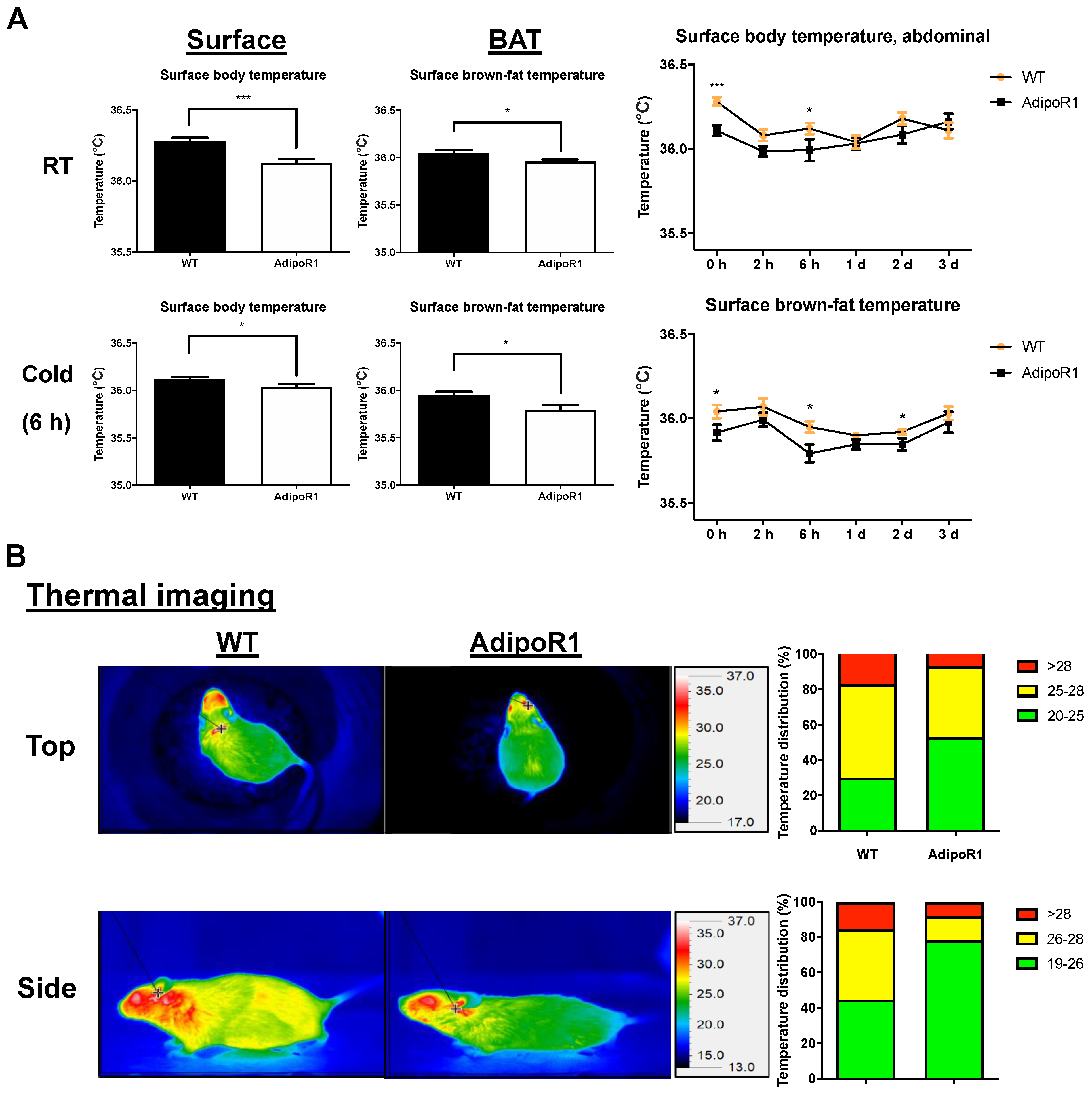 Ijms 22 00906 g004 Ijms 22 00906 g004