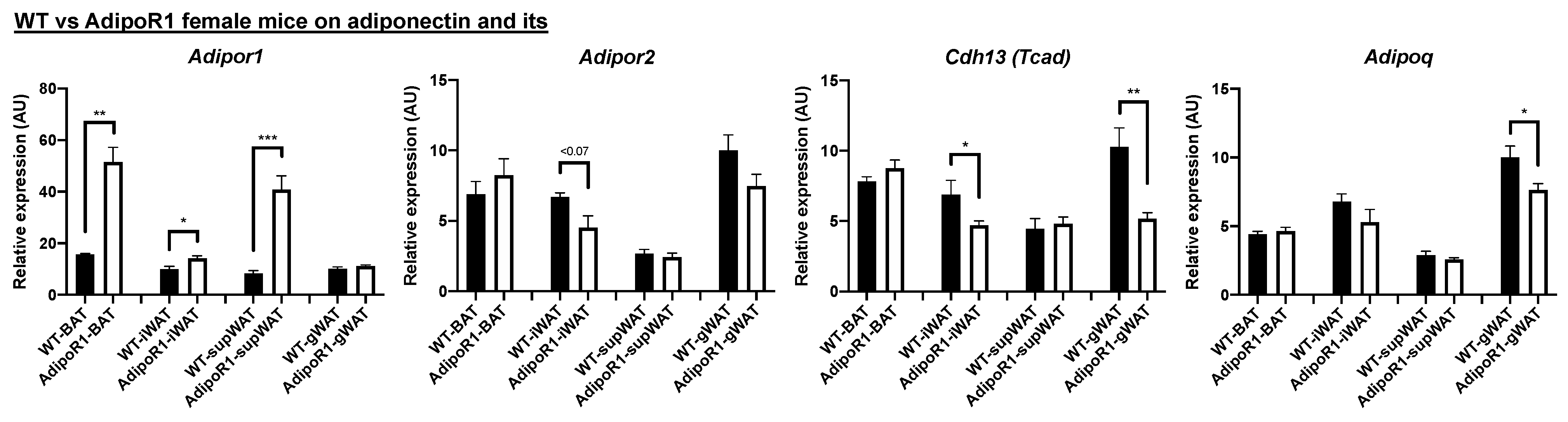 Ijms 22 00906 g006 Ijms 22 00906 g006