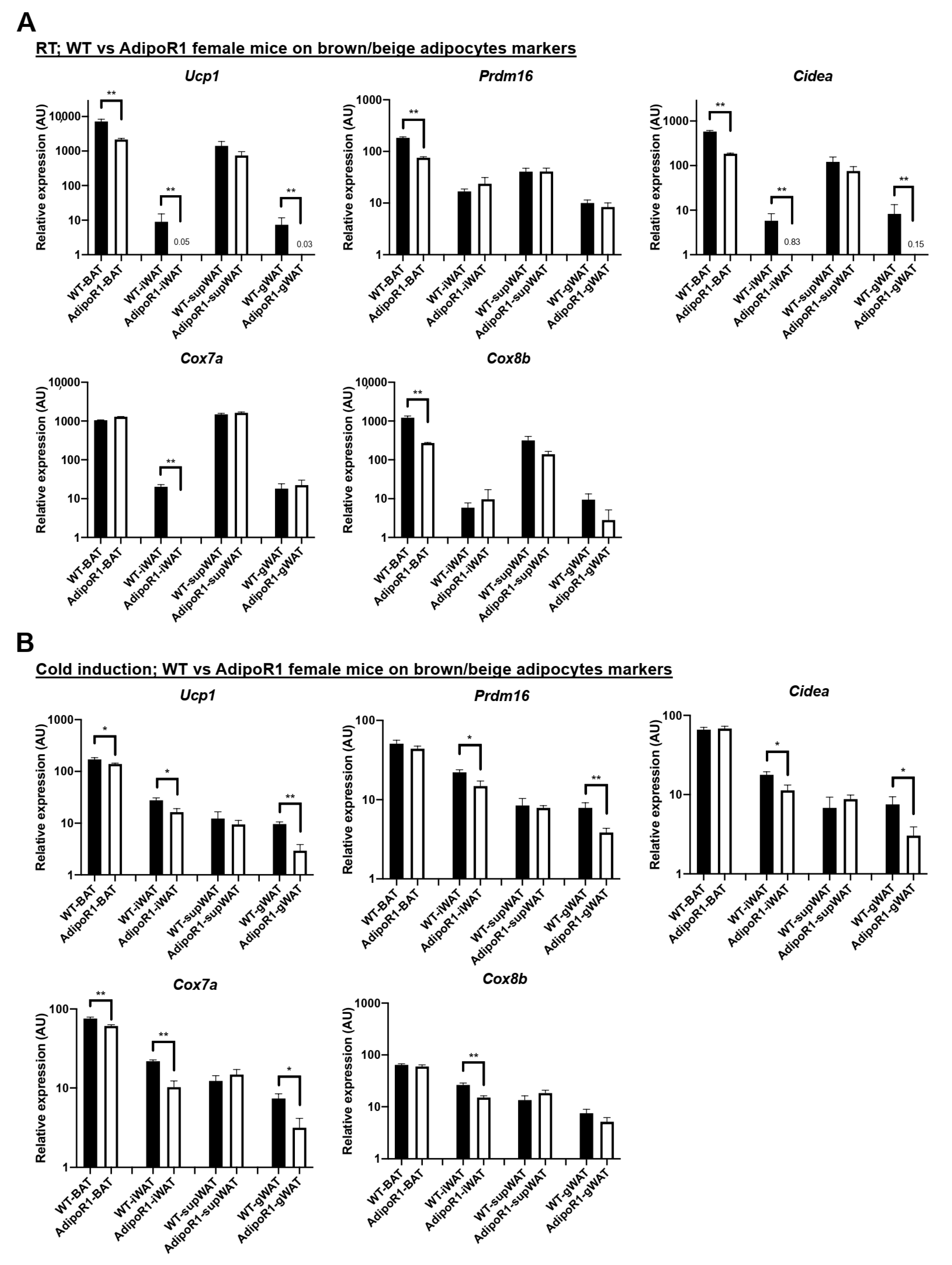 Ijms 22 00906 g007 Ijms 22 00906 g007
