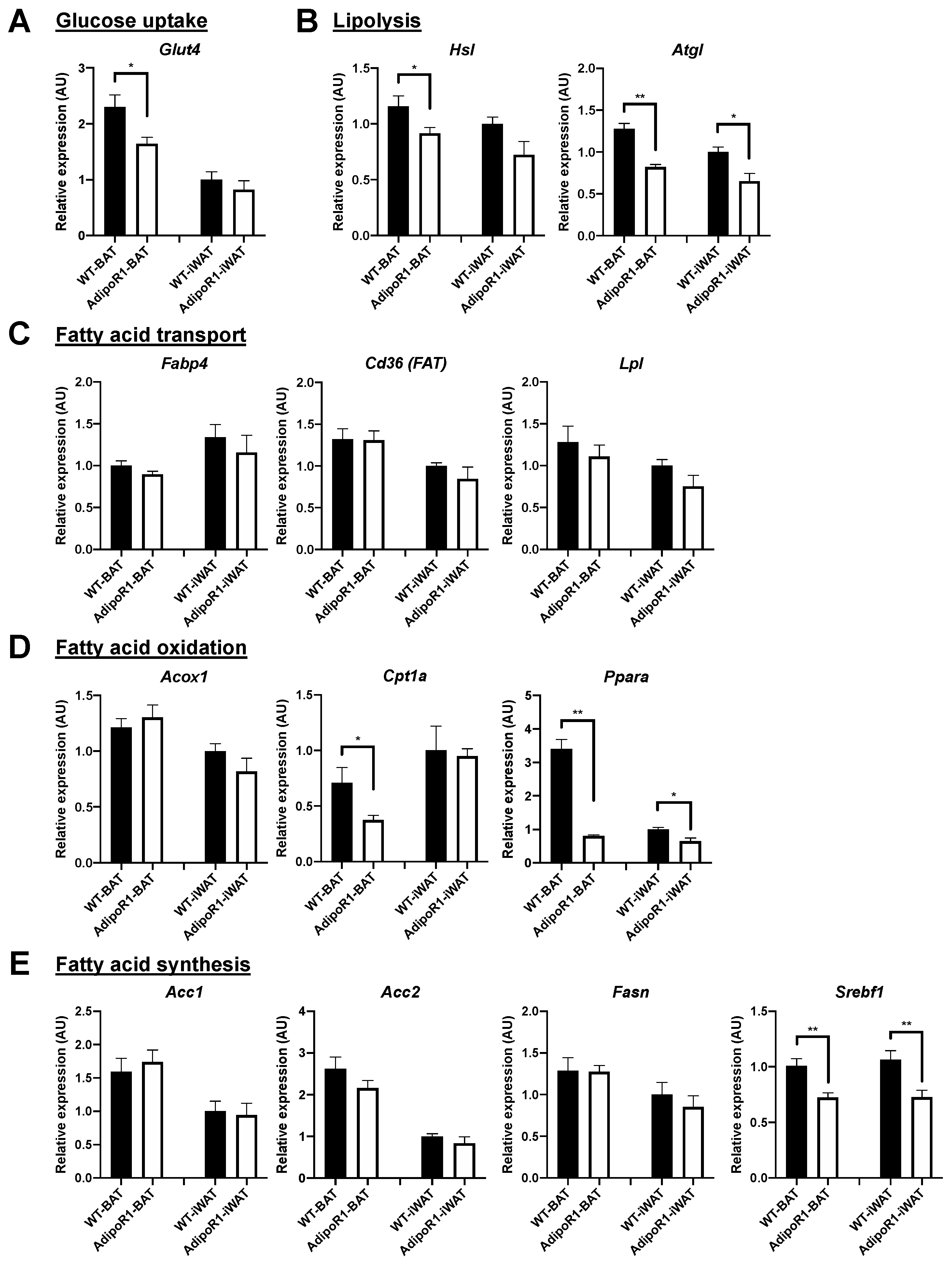 Ijms 22 00906 g008 Ijms 22 00906 g008