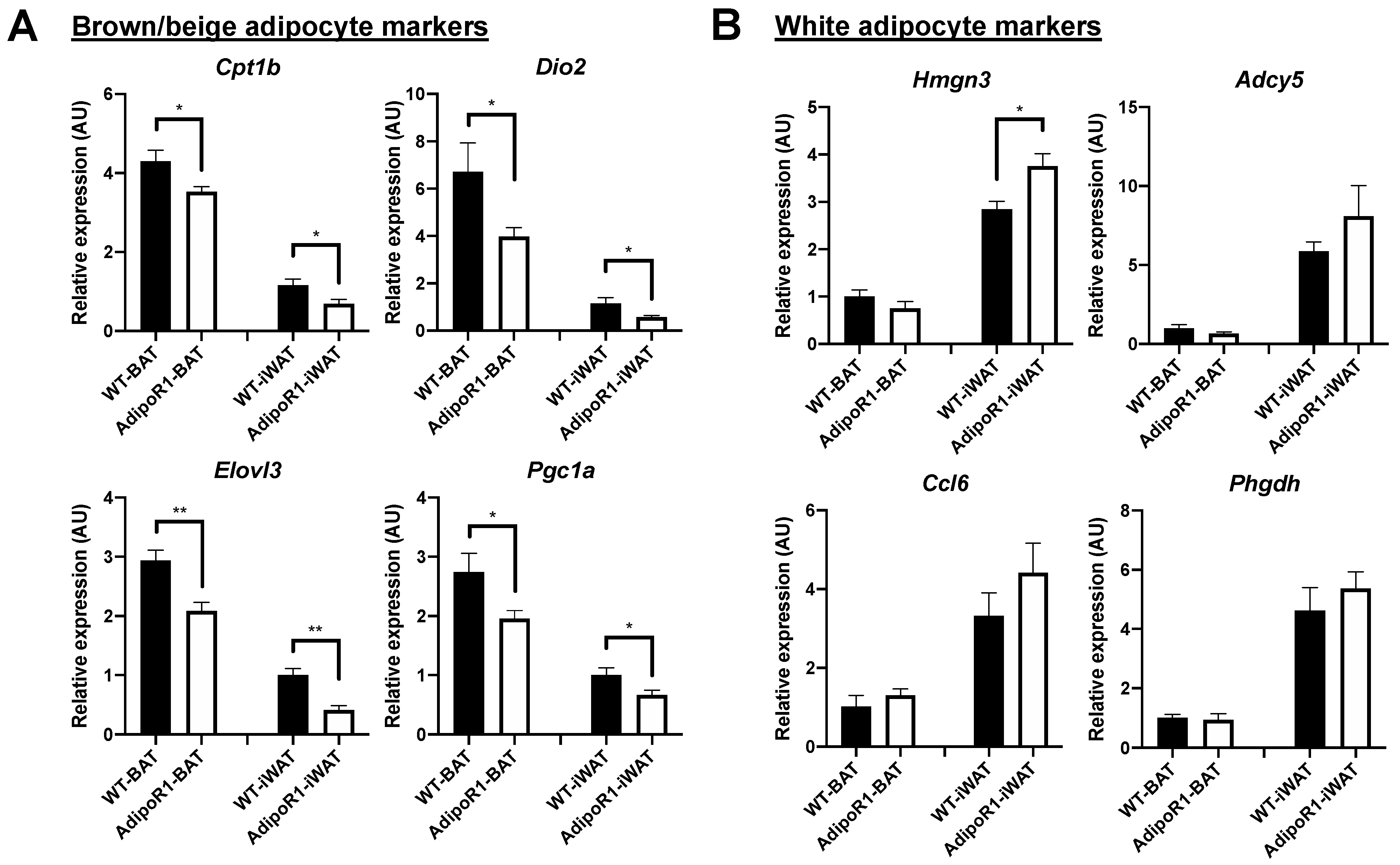 Ijms 22 00906 g009 Ijms 22 00906 g009